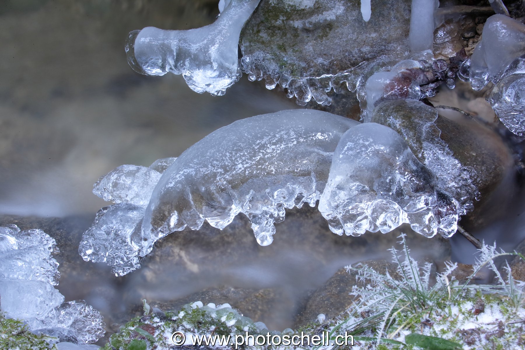 Monstre rampant en glace
