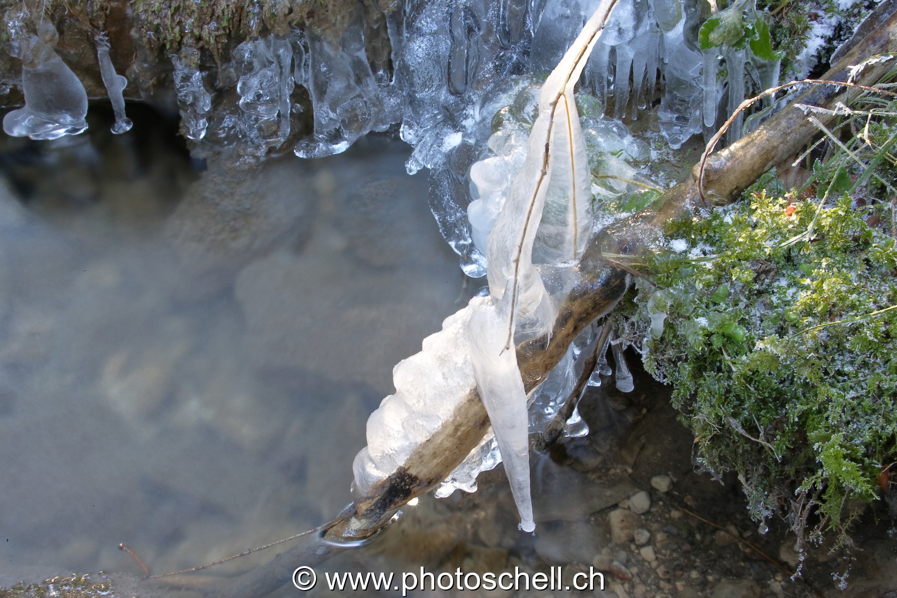 Sculpture de glace illuminée par le soleil
