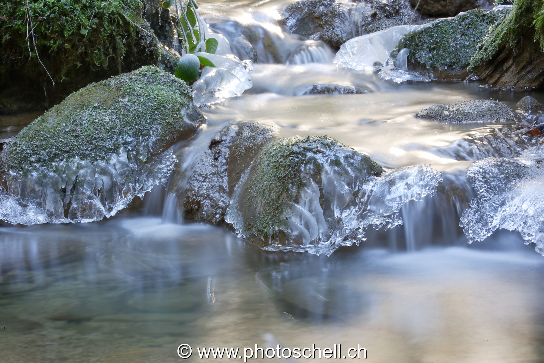 Contrastes sur le ruisseau glacé