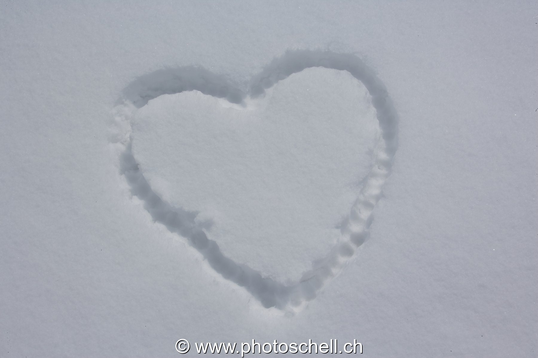 Coeur de glace ou de neige ?