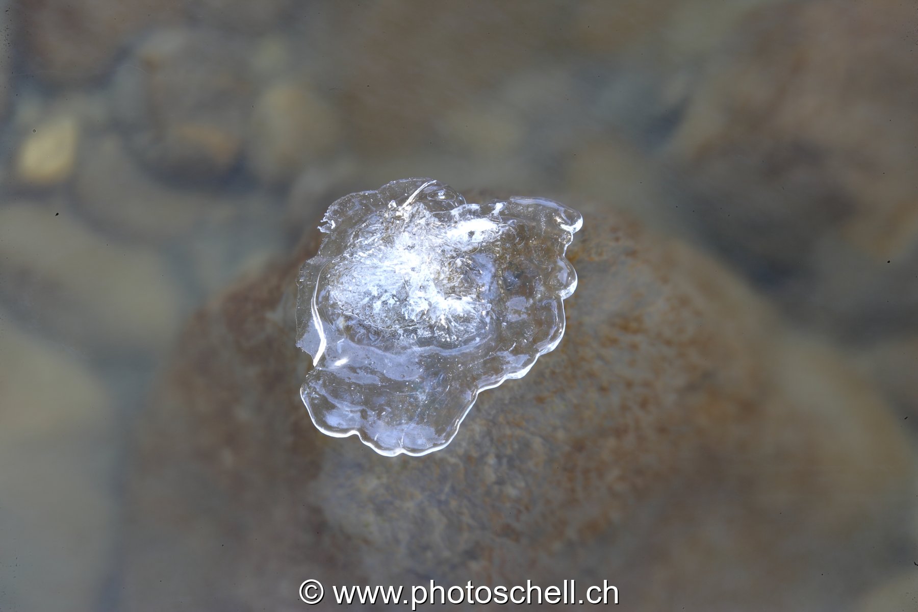 Sommet glacé dans le ruisseau