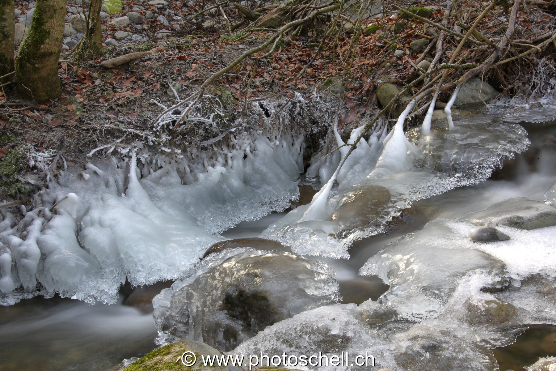 Sculptures glacées dans le ruisseau