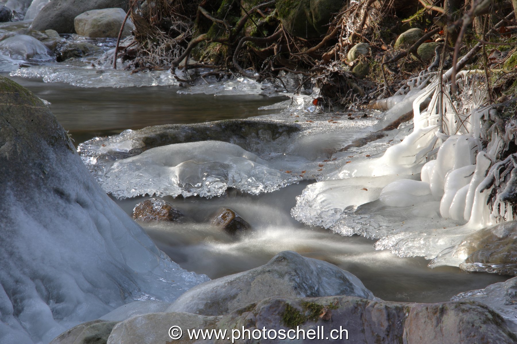 Sculptures glacées dans le ruisseau