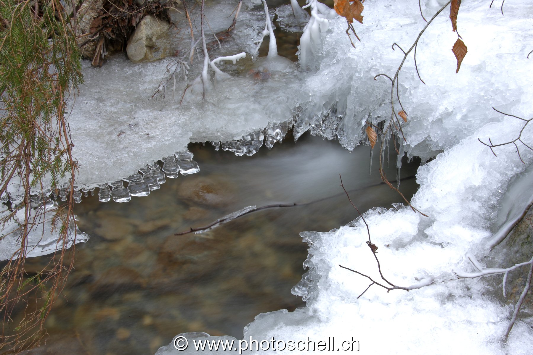 Filet d'eau entouré de glace
