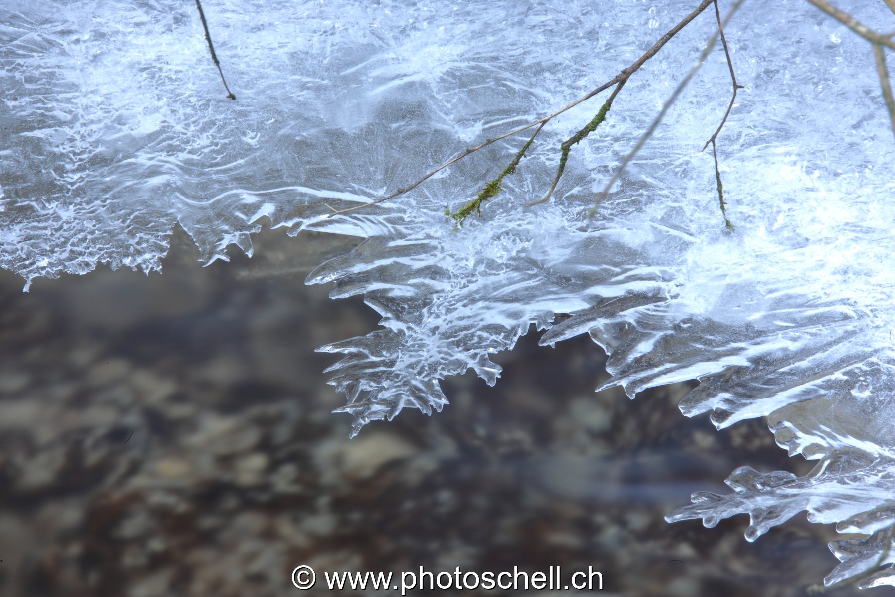 Forme de flocon dans la glace