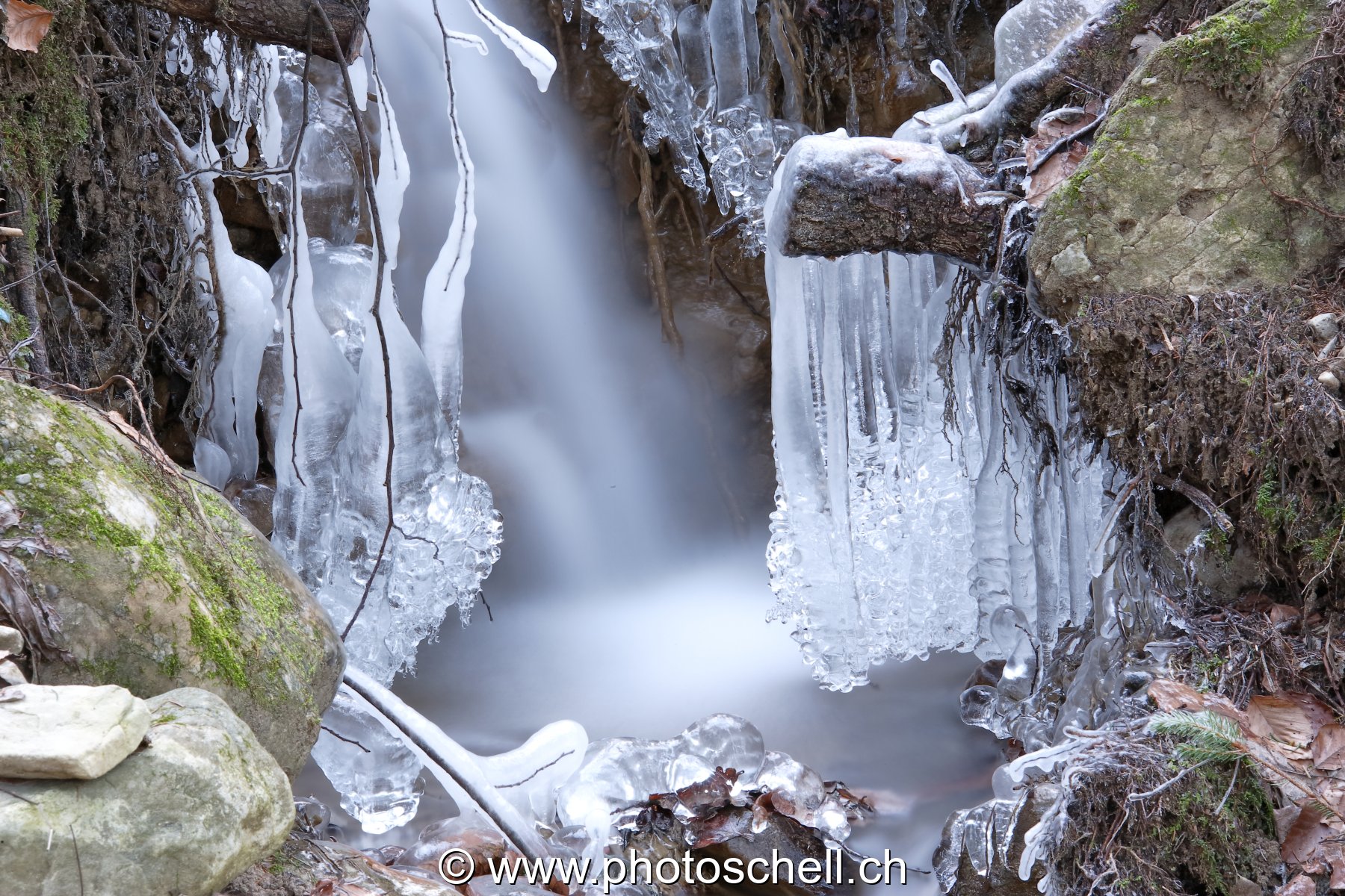 Ruisseau et ses sculptures de glace
