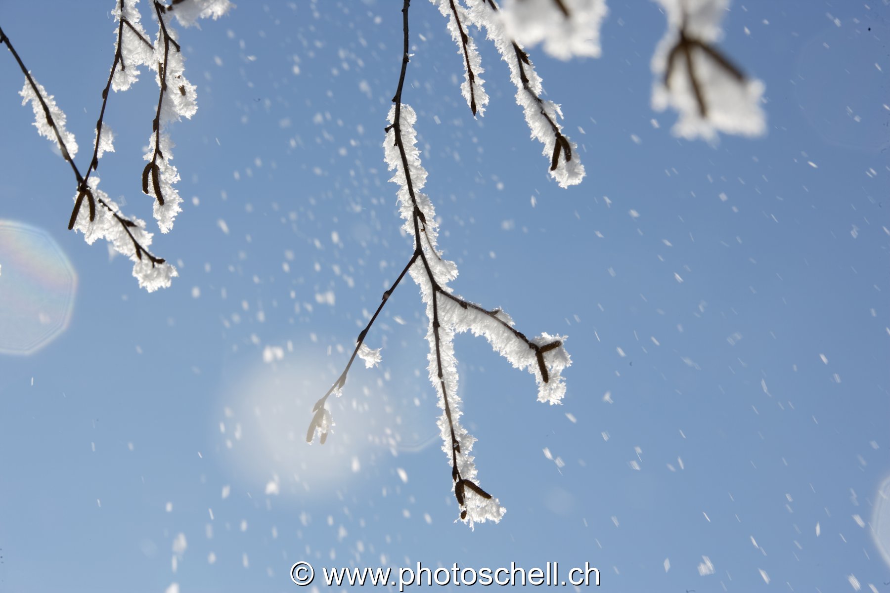 Chute de givre au soleil