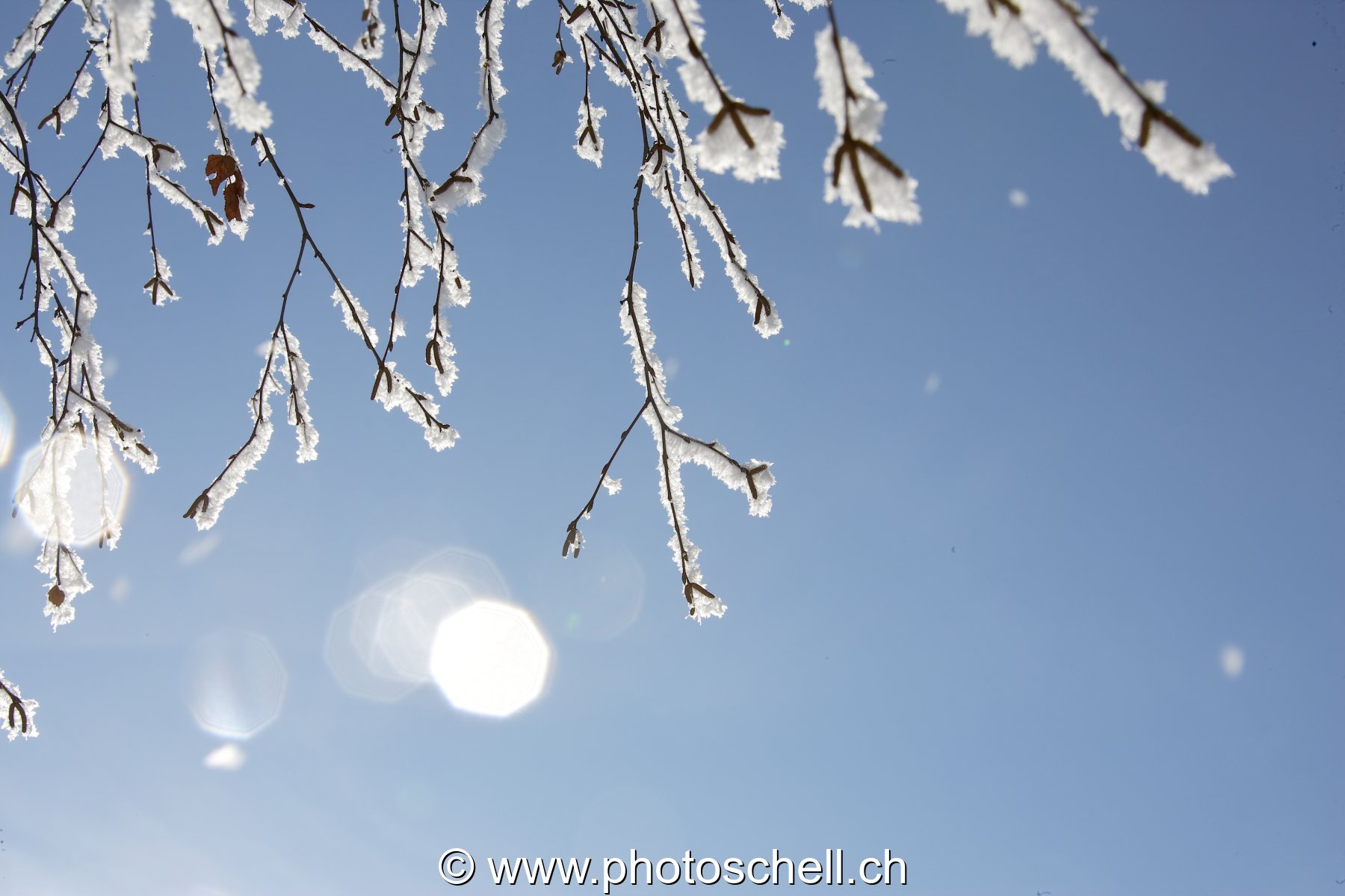 Chute de givre au soleil