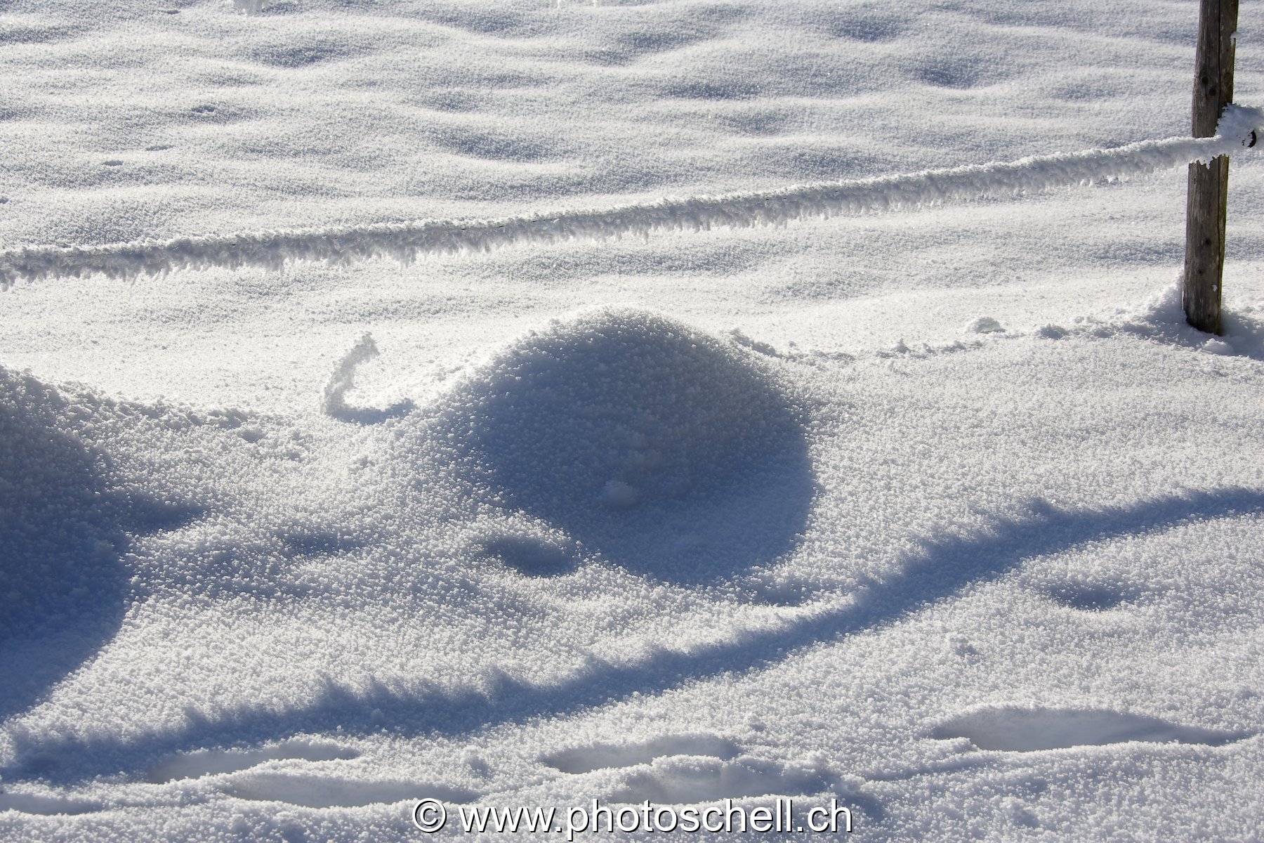 Ombres de givre sur la neige