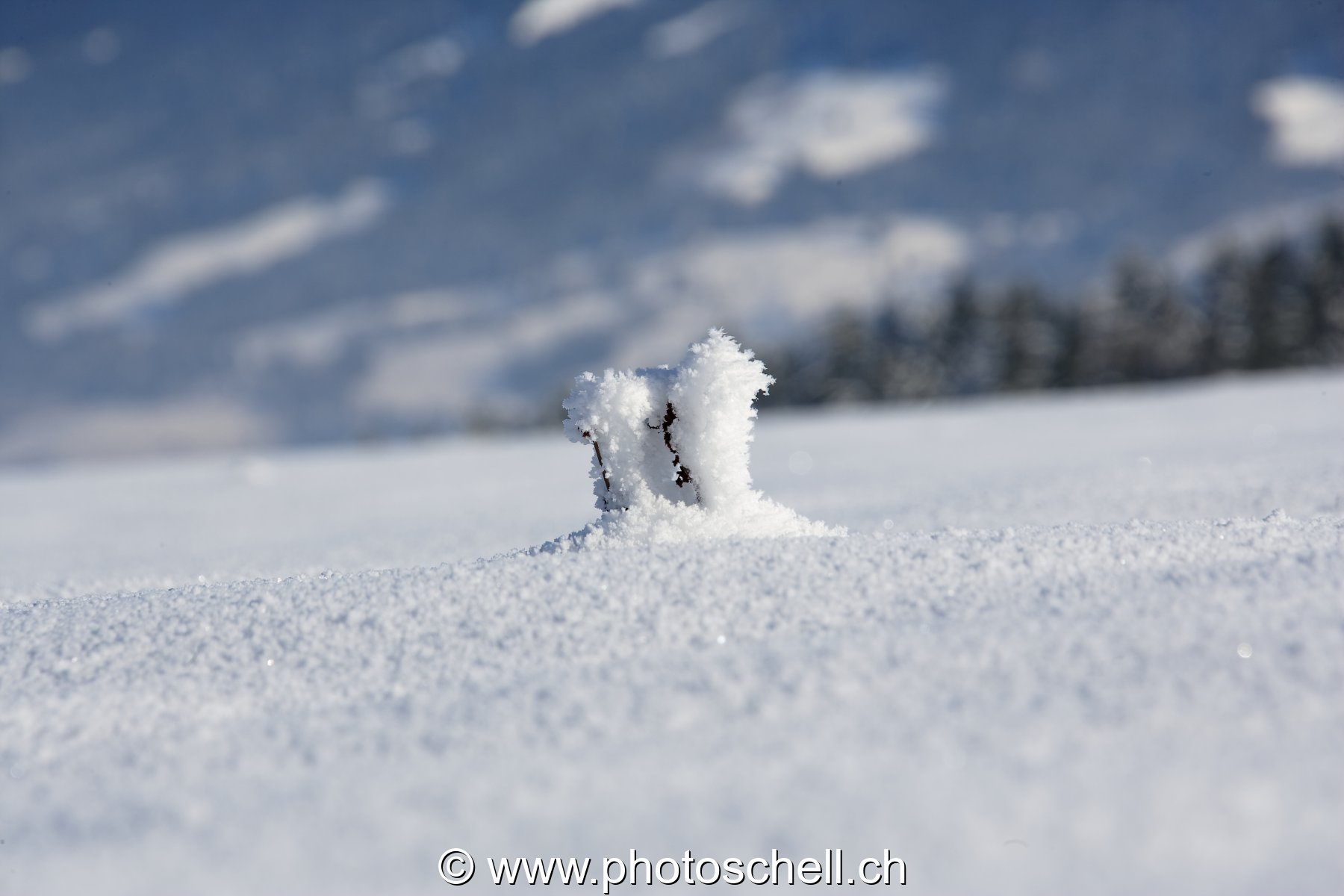 Sortis de neige