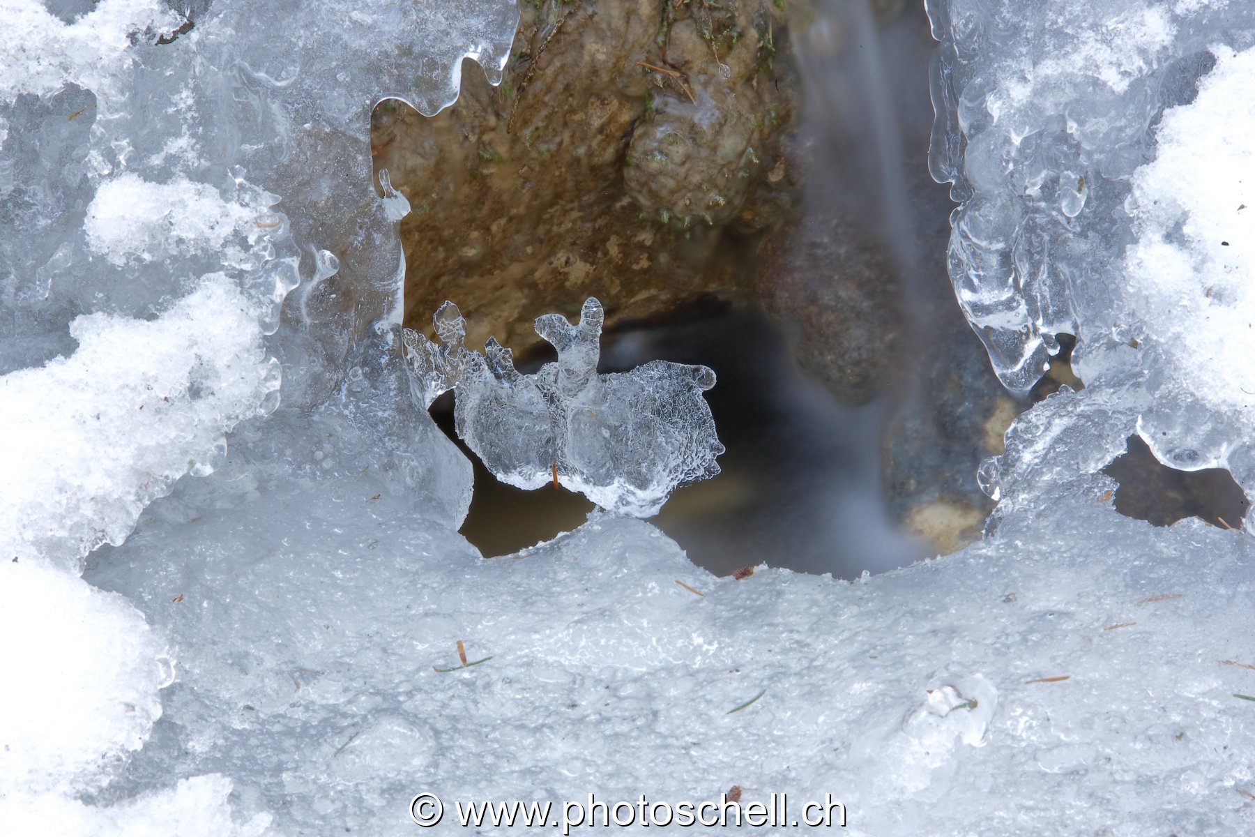 Glace  au-dessus du ruisseau