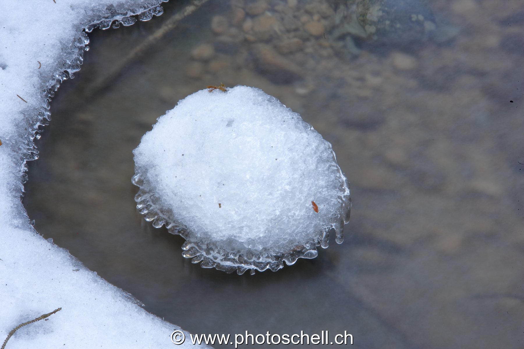 Glace  au-dessus du ruisseau