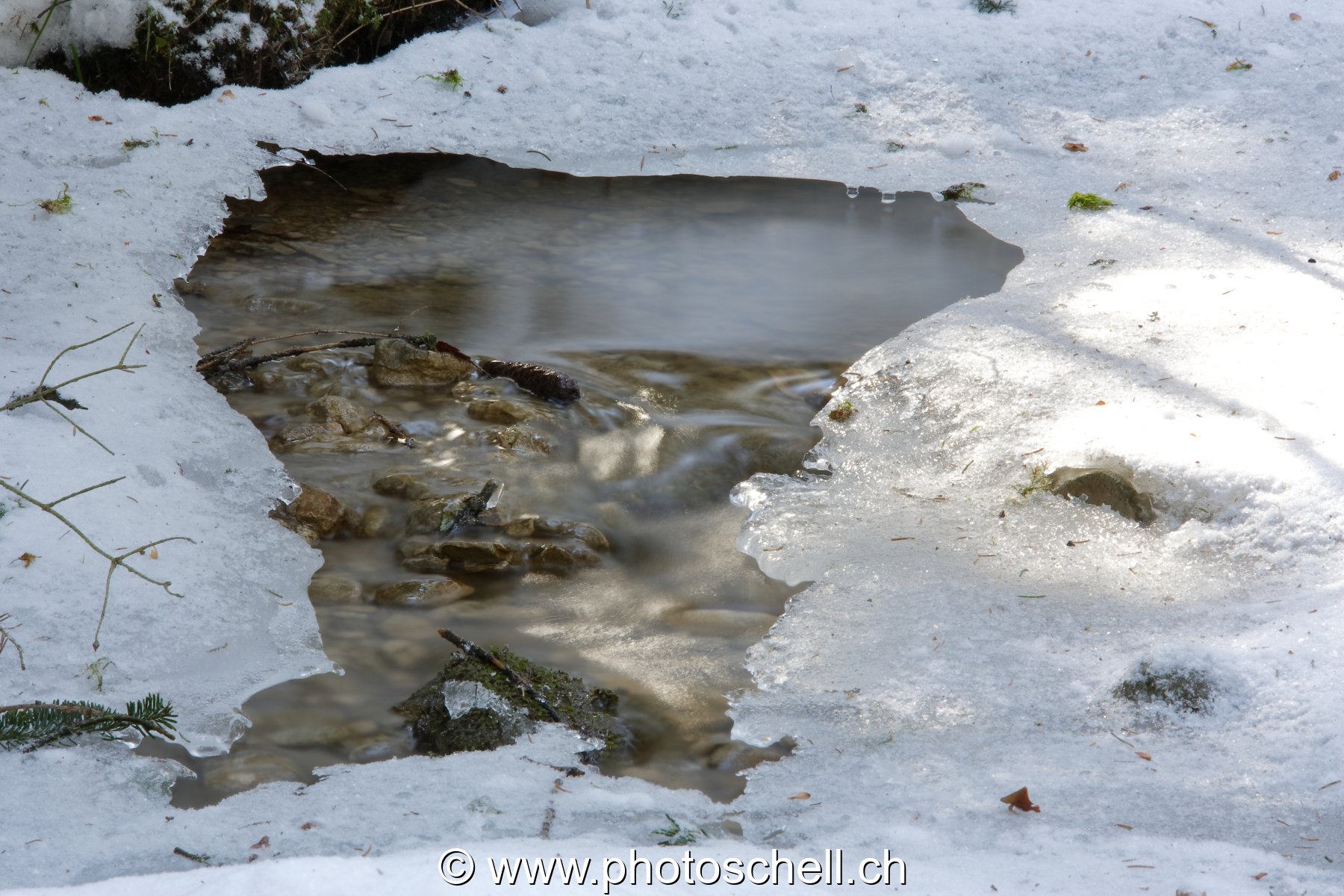 Glace  au-dessus du ruisseau