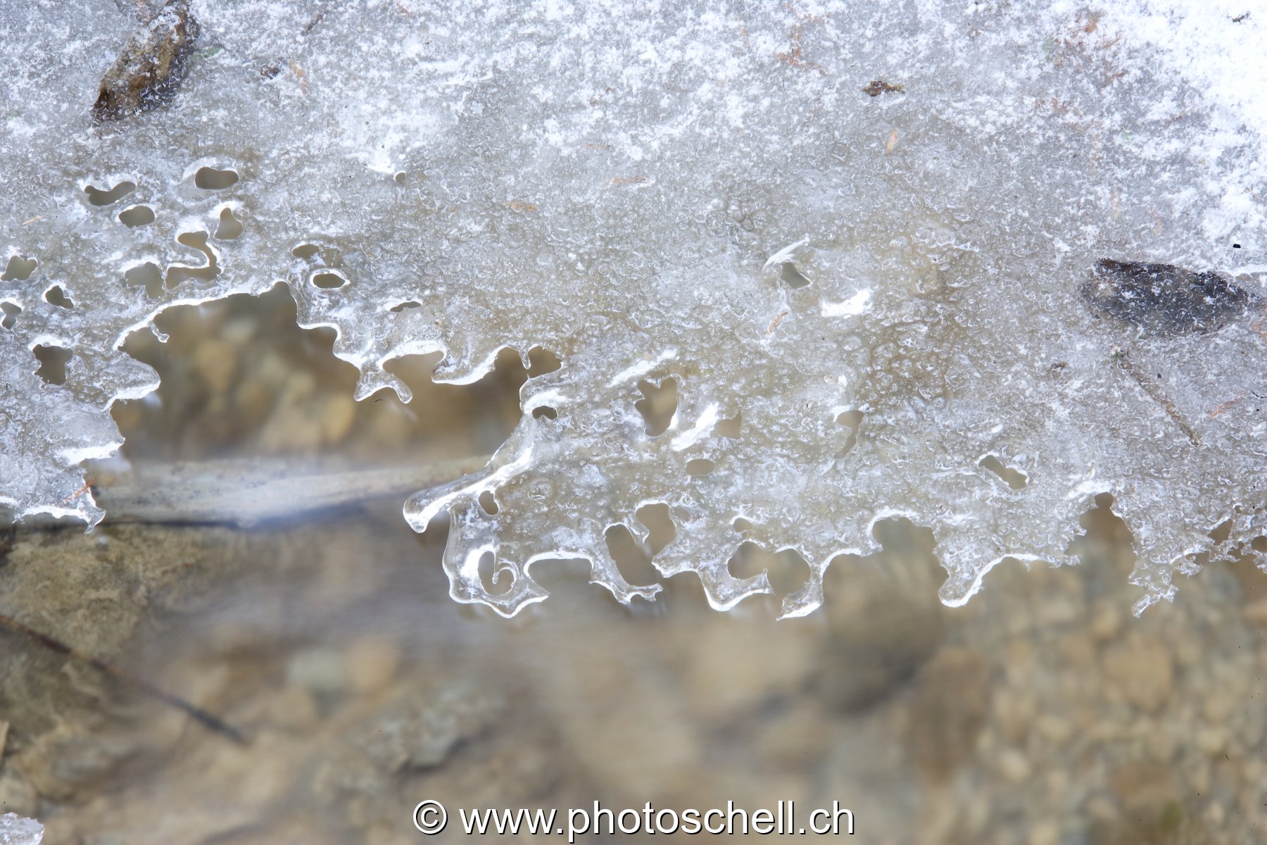 Glace au-dessus du ruisseau