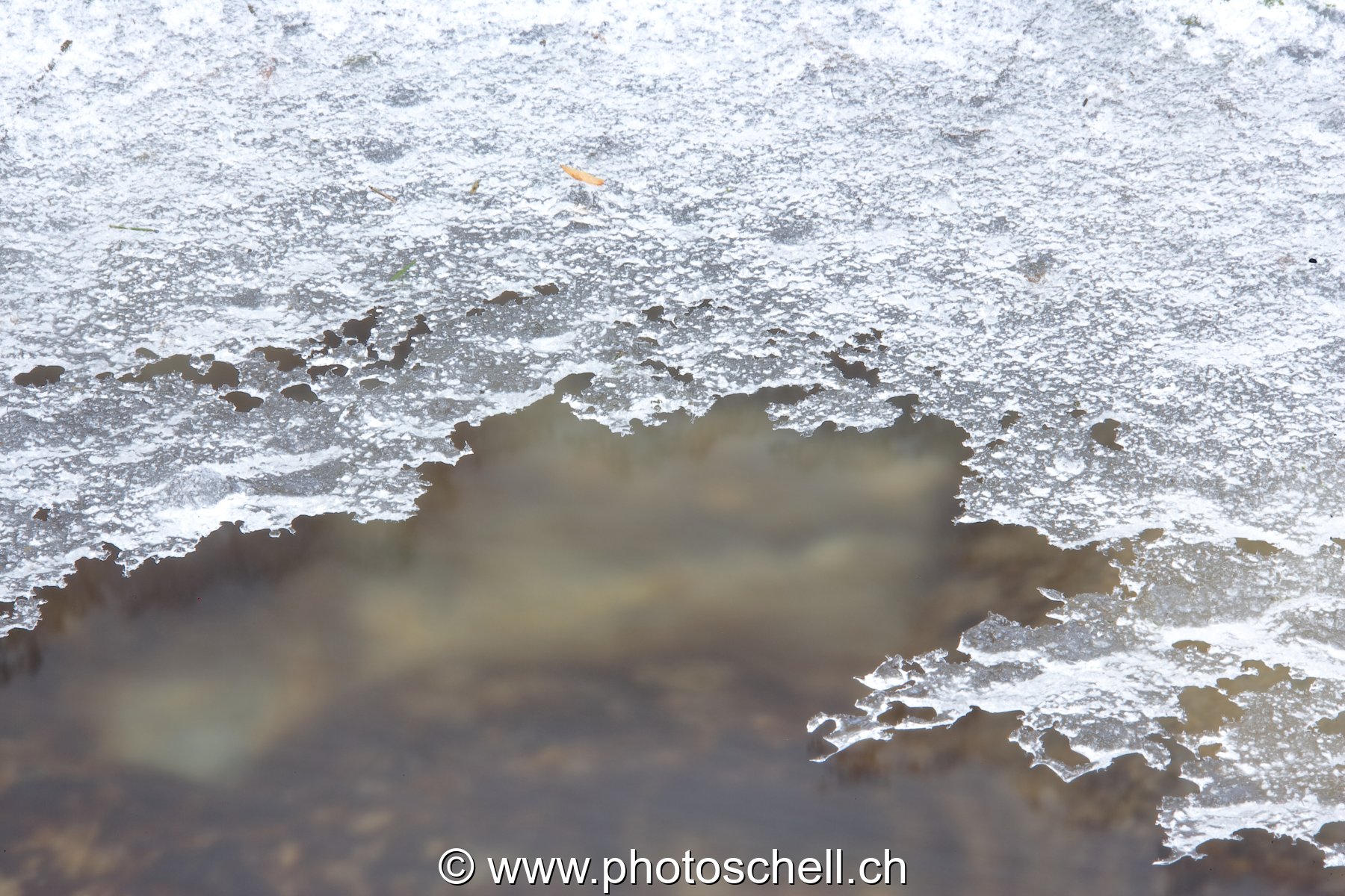 Glace au-dessus du ruisseau