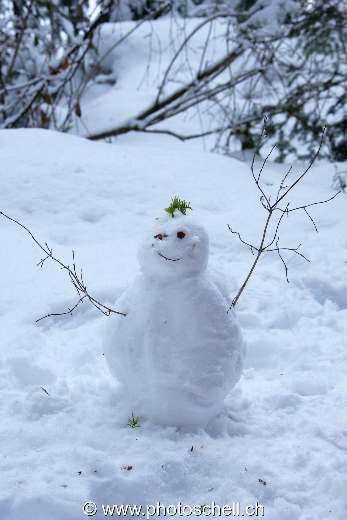 Bonhomme de neige