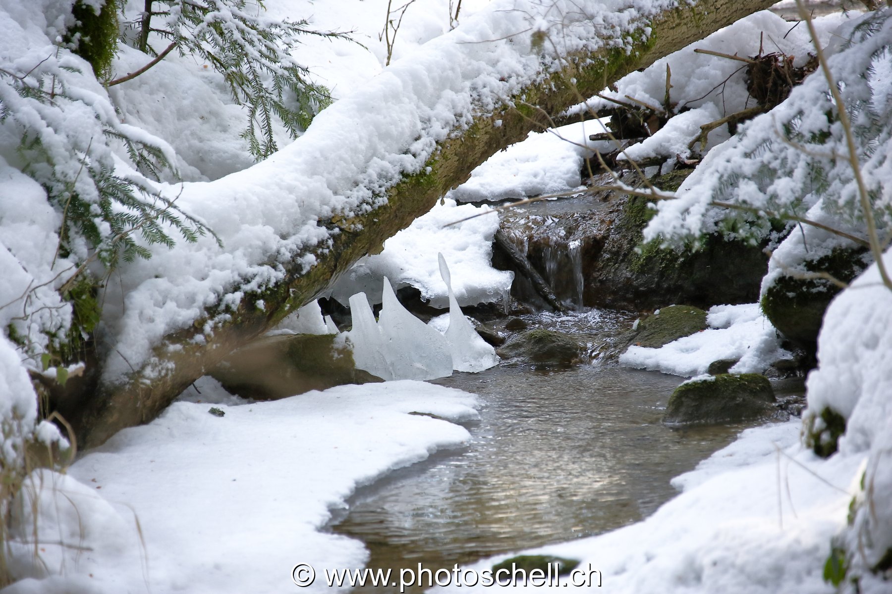 Ruisseau et ses formes de glace