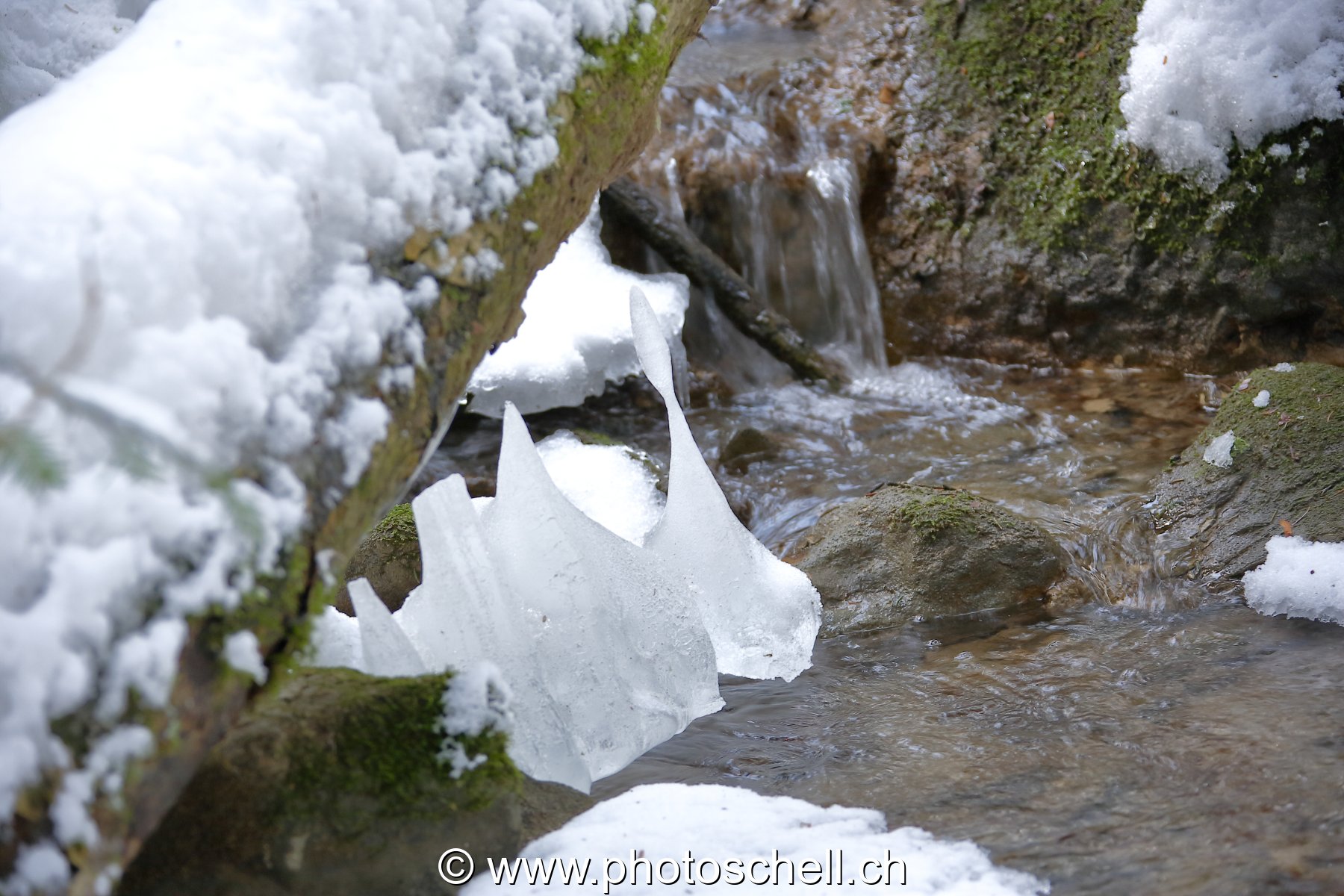 Ruisseau et ses formes de glace