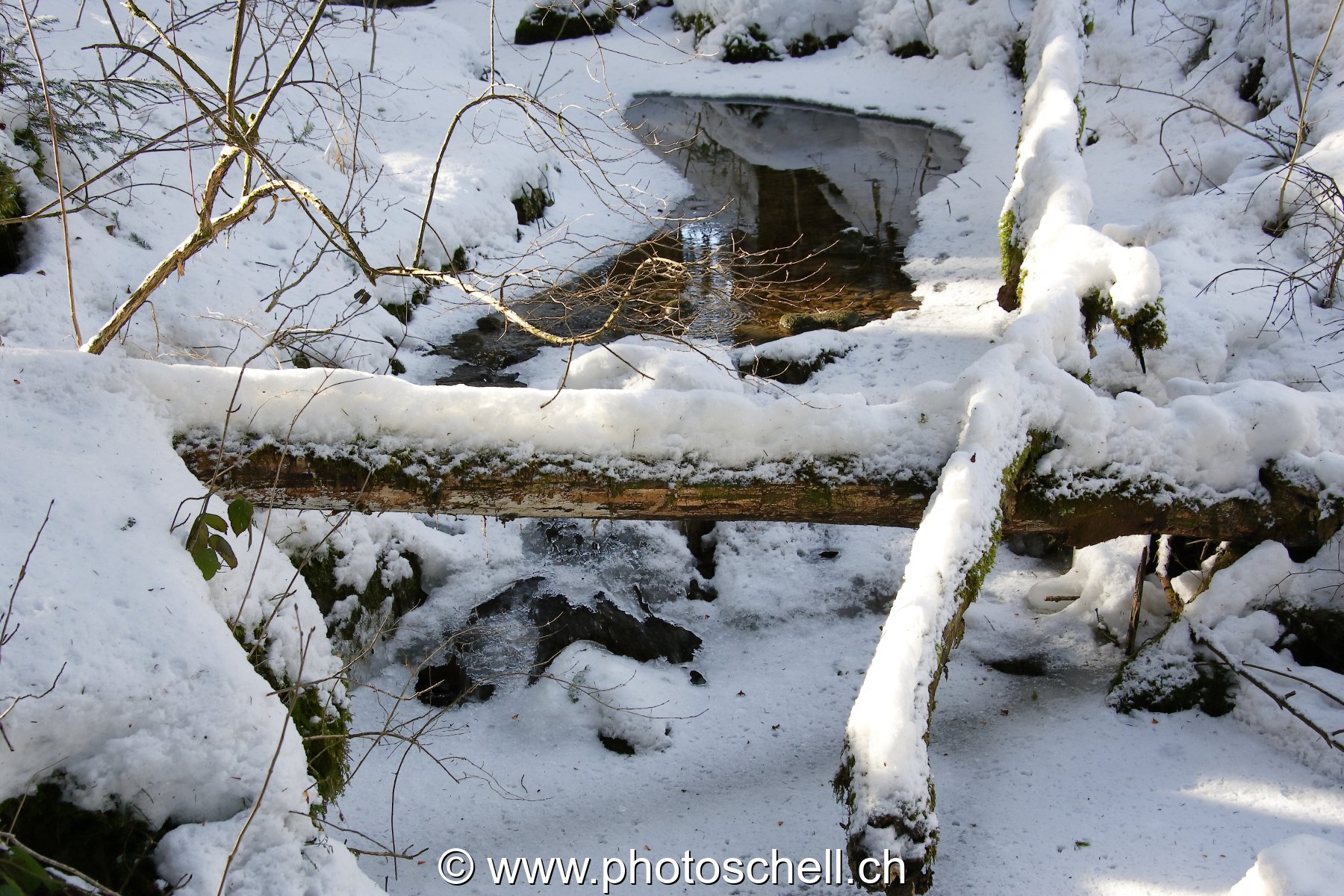 Ruisseau et ses formes de glace