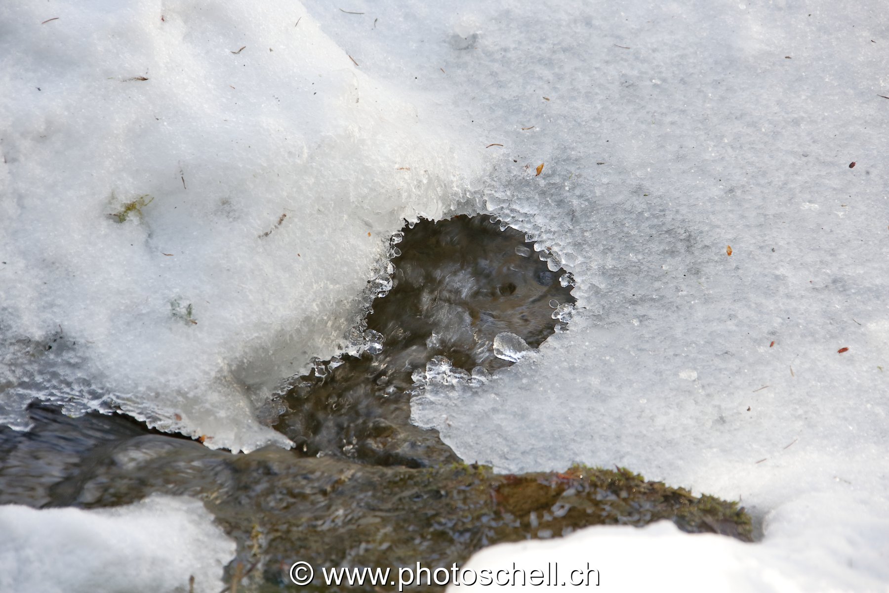 Ruisseau et ses formes de glace