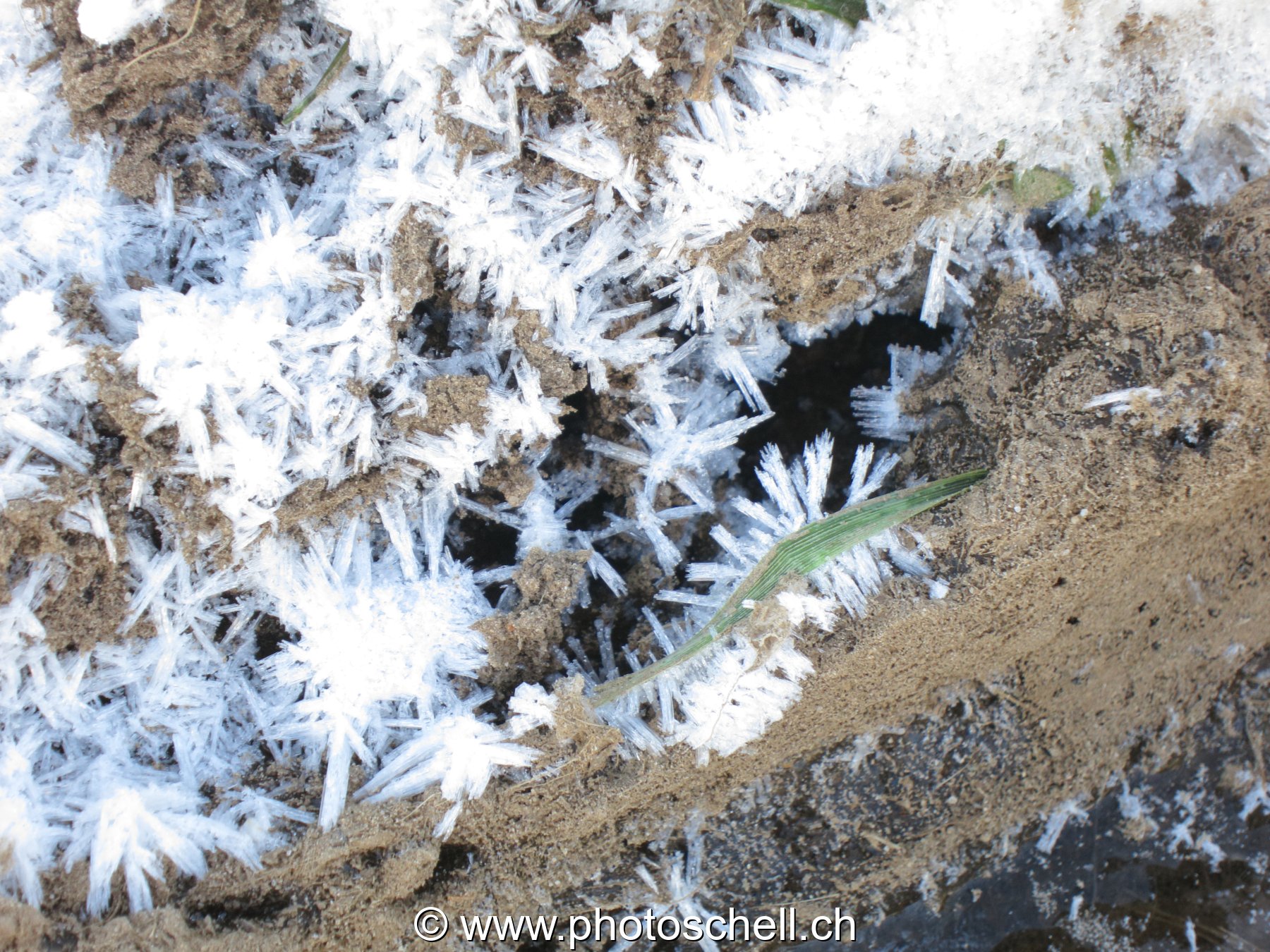 Cristaux de glace