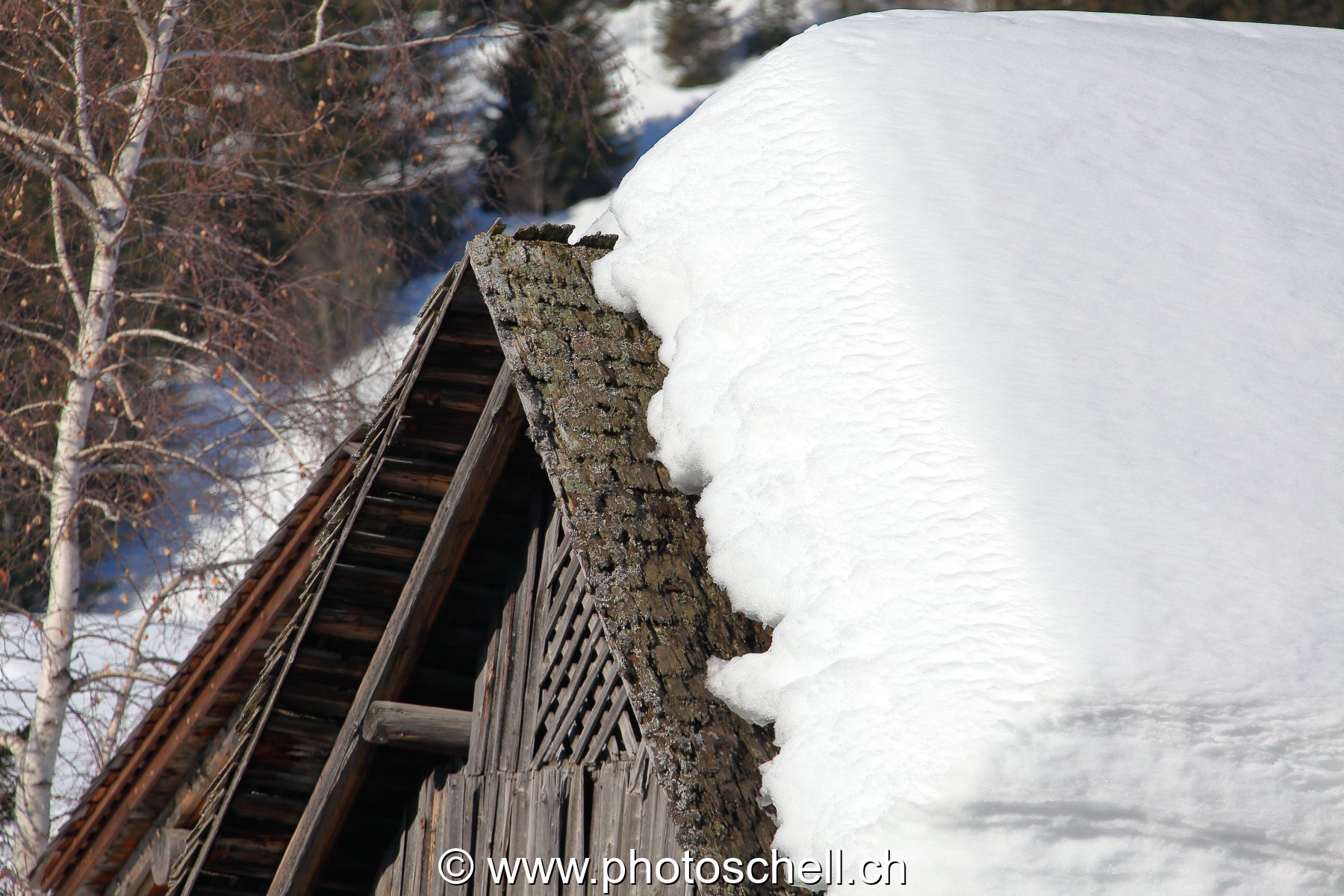 Photo 465