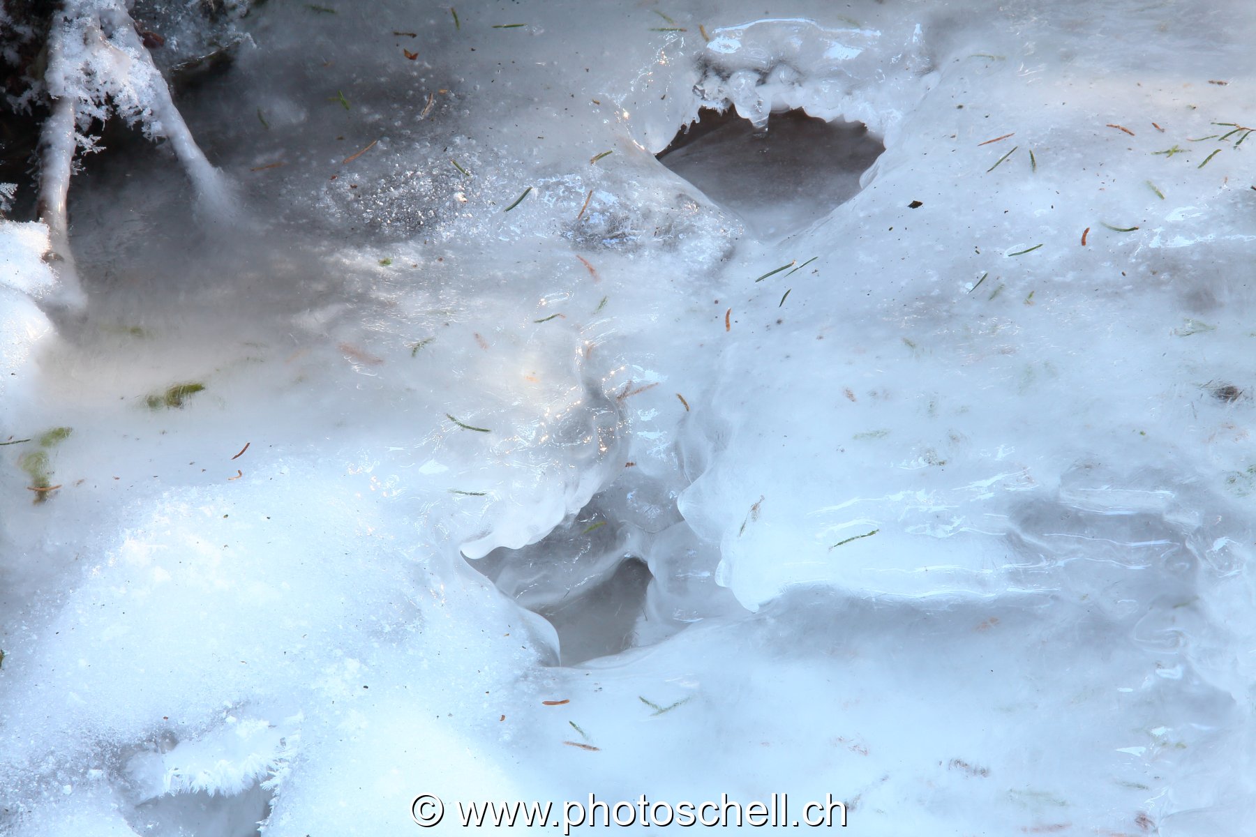 Photo 484