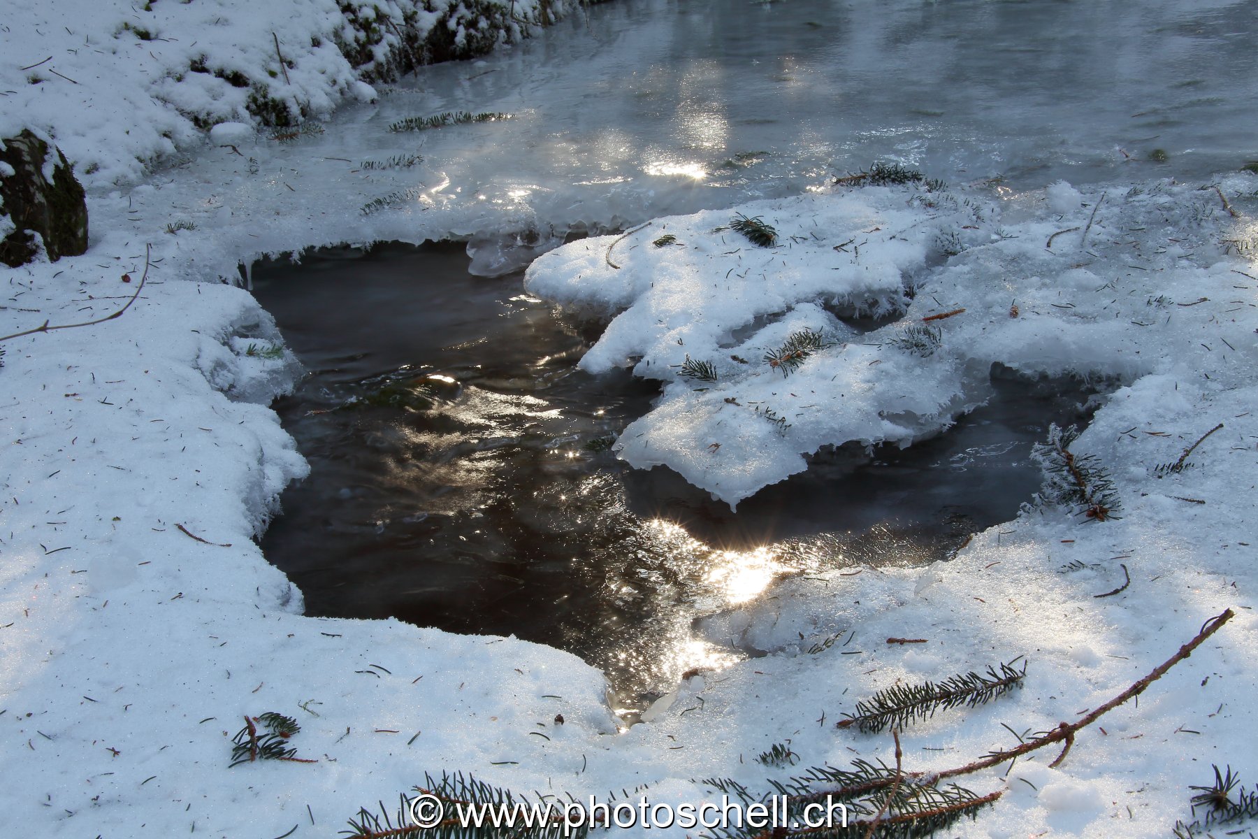 Photo 487