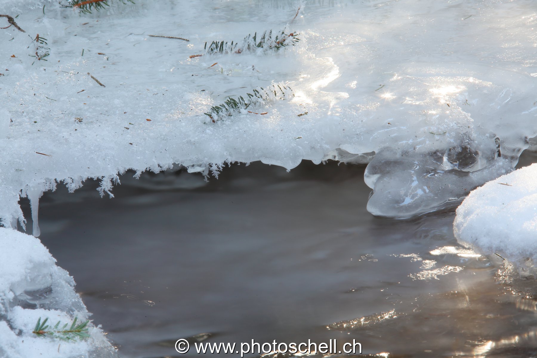 Photo 488