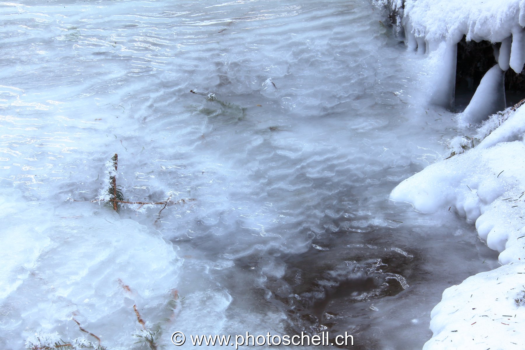 Ruisseau glacé