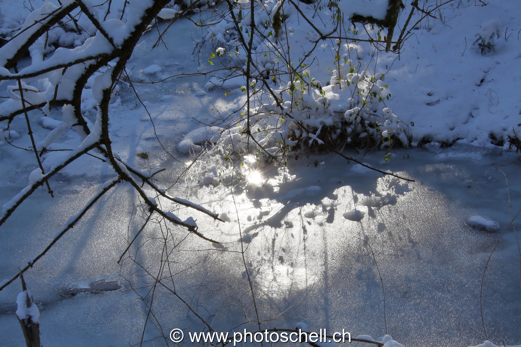 Photo 494