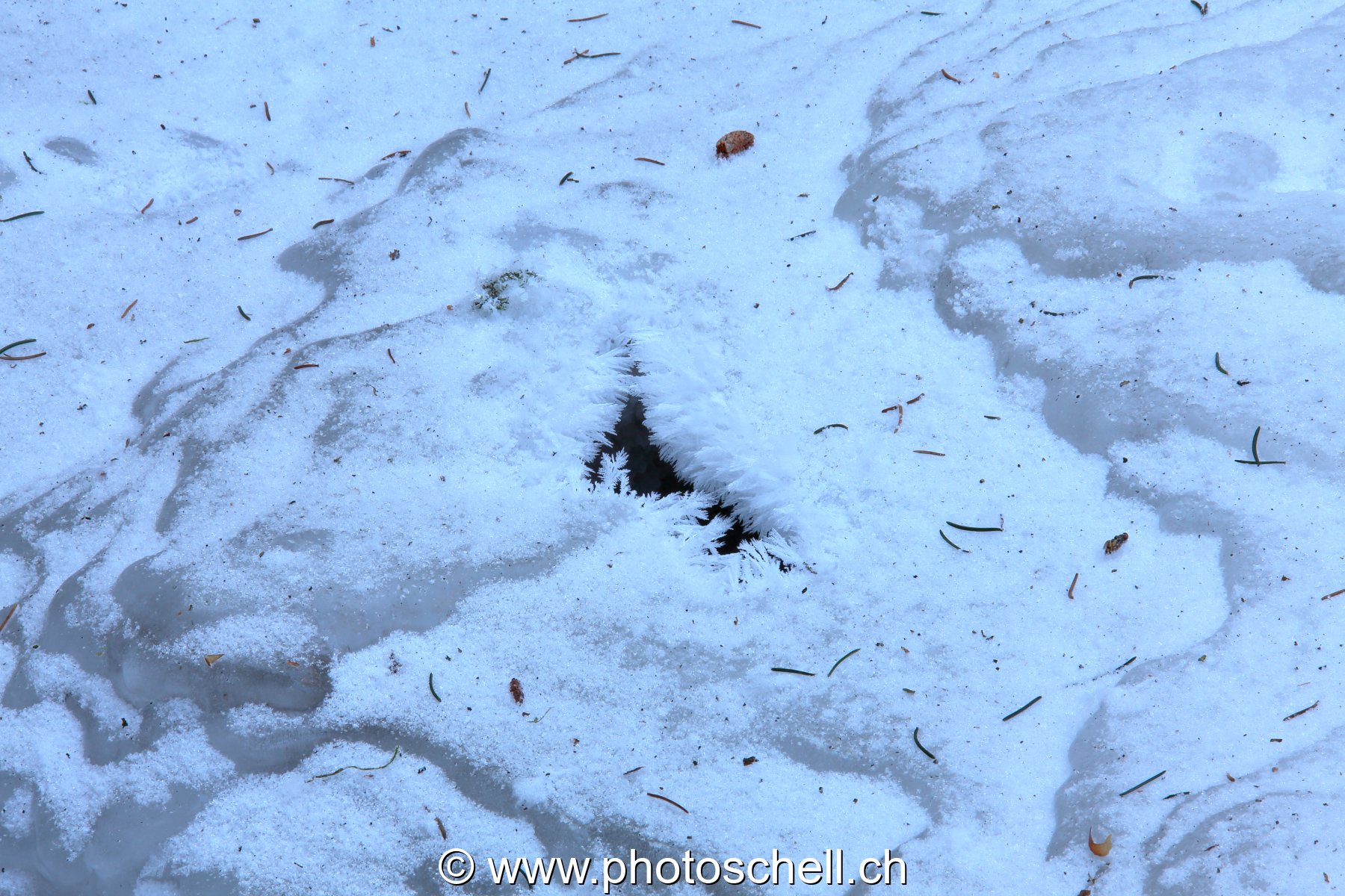 Ruisseau glacé