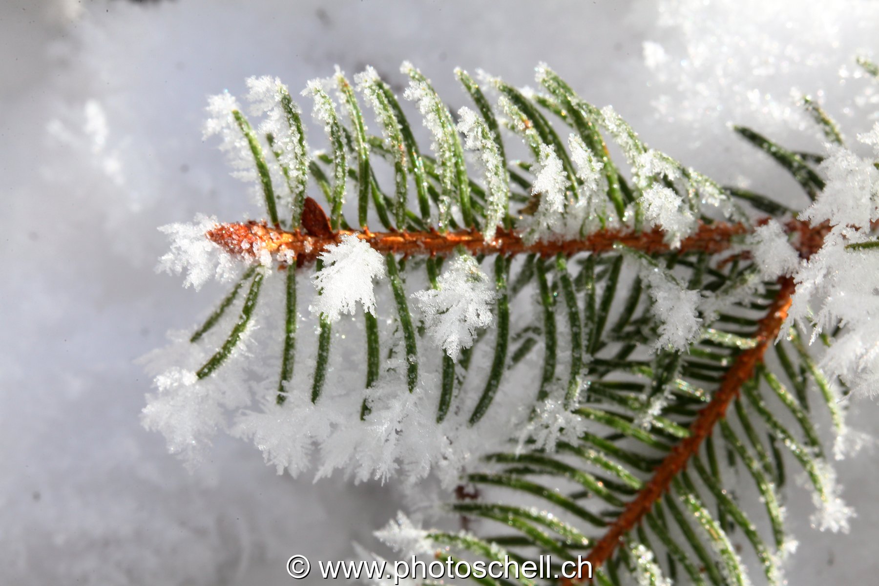 Cristaux de glace
