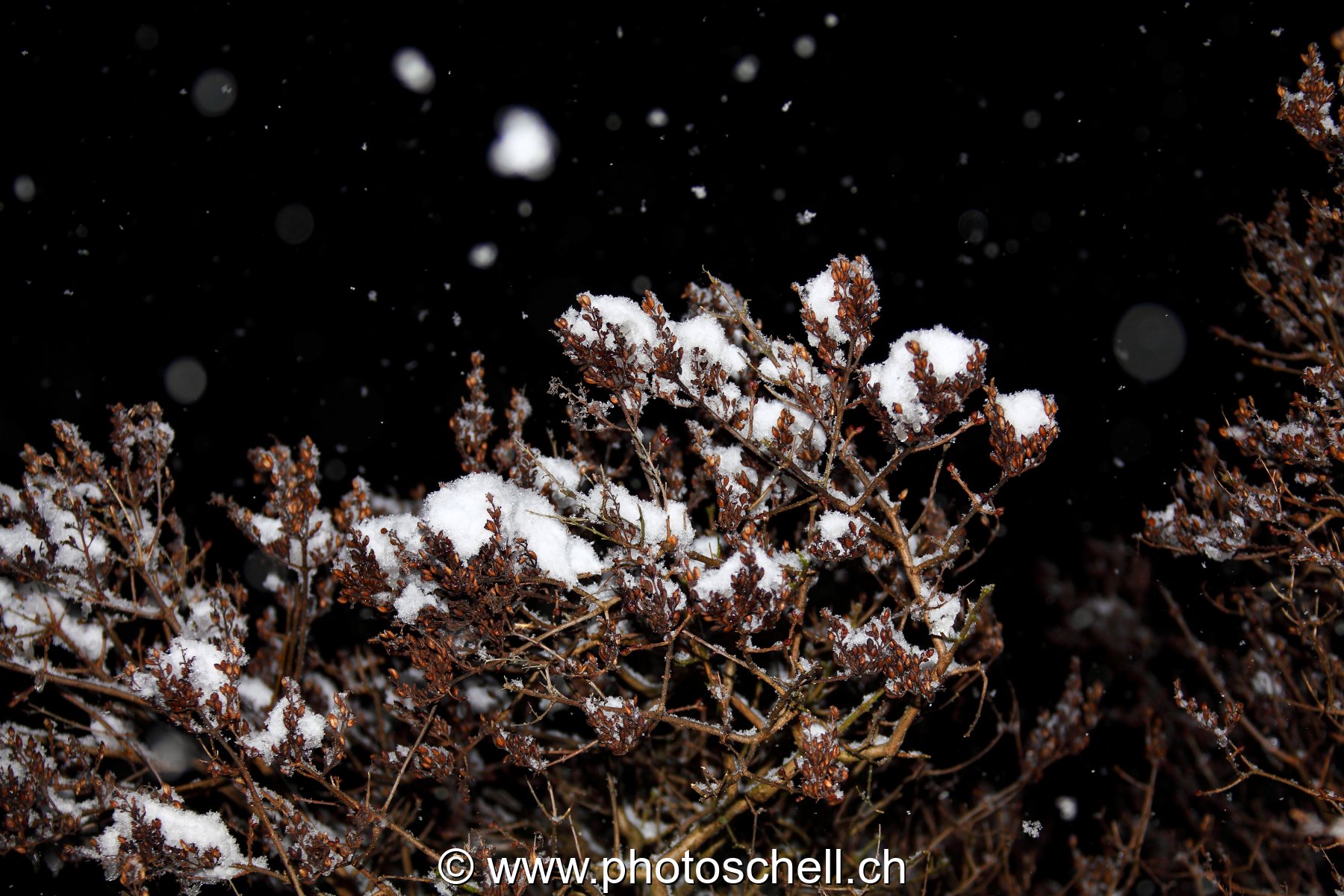Neige qui tombe