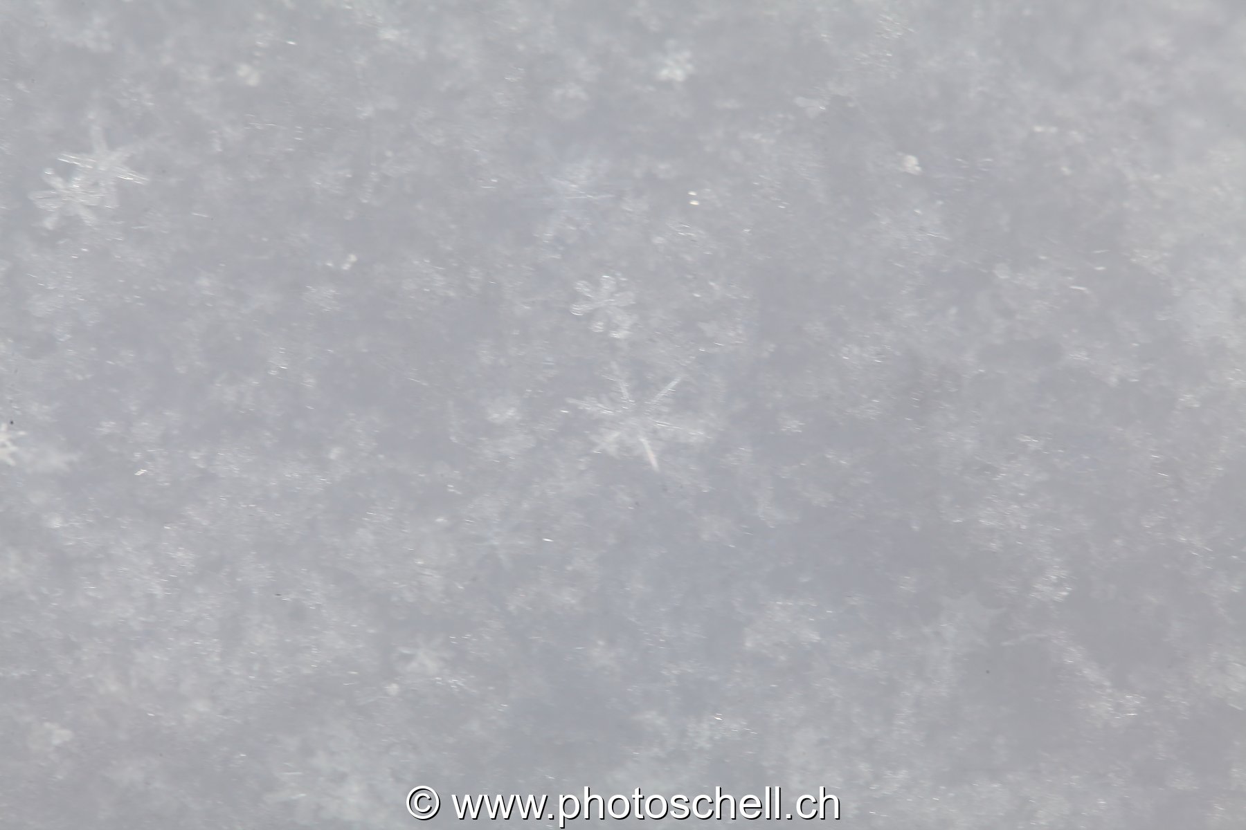 Flocon de neige