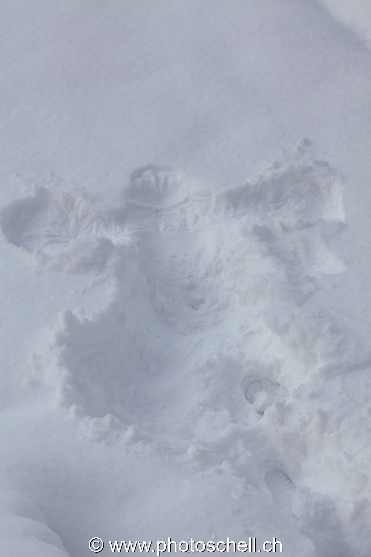 Qui a fait le papillon dans la neige ?