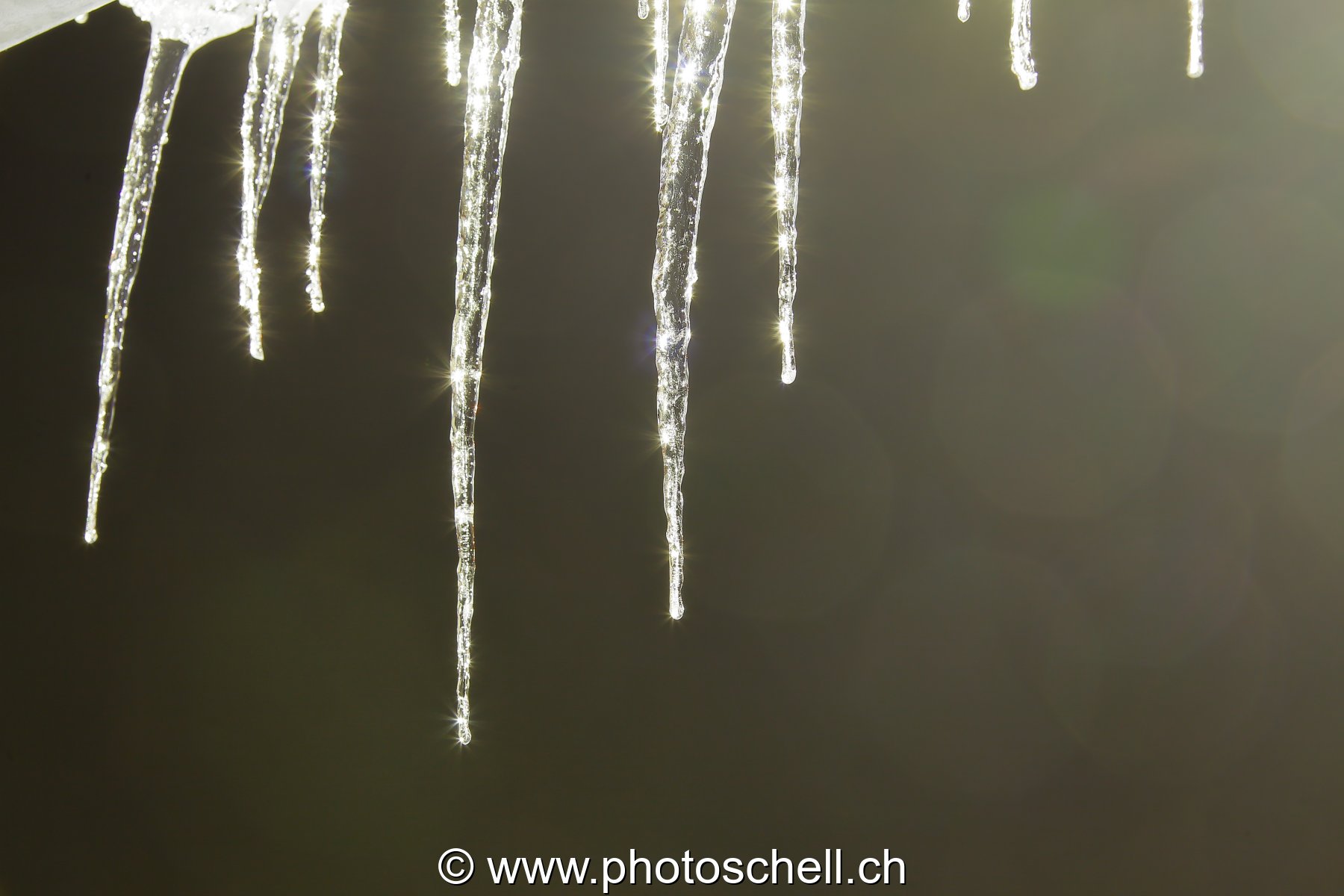 Stalagtites hivernales
