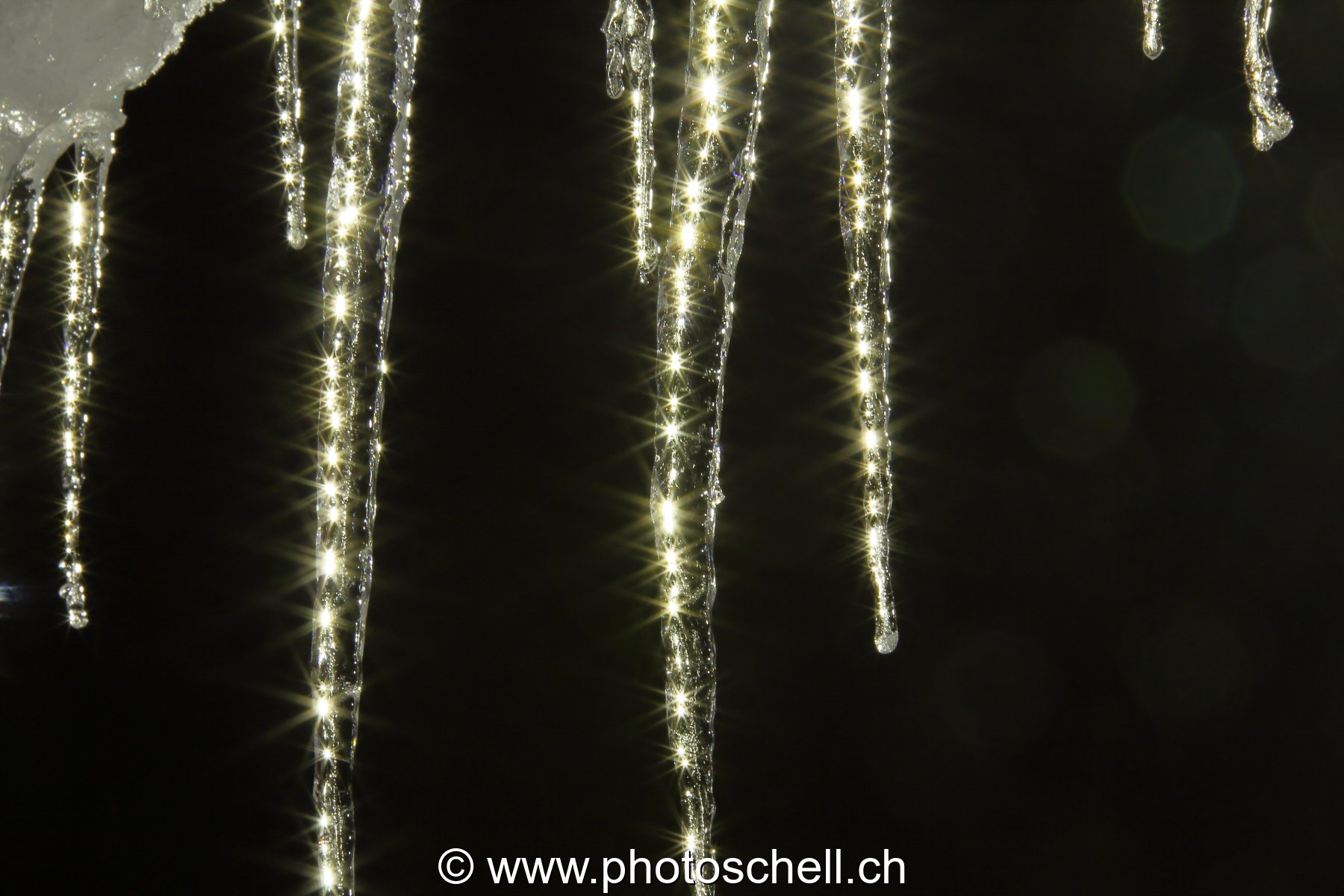 Stalagtites hivernales