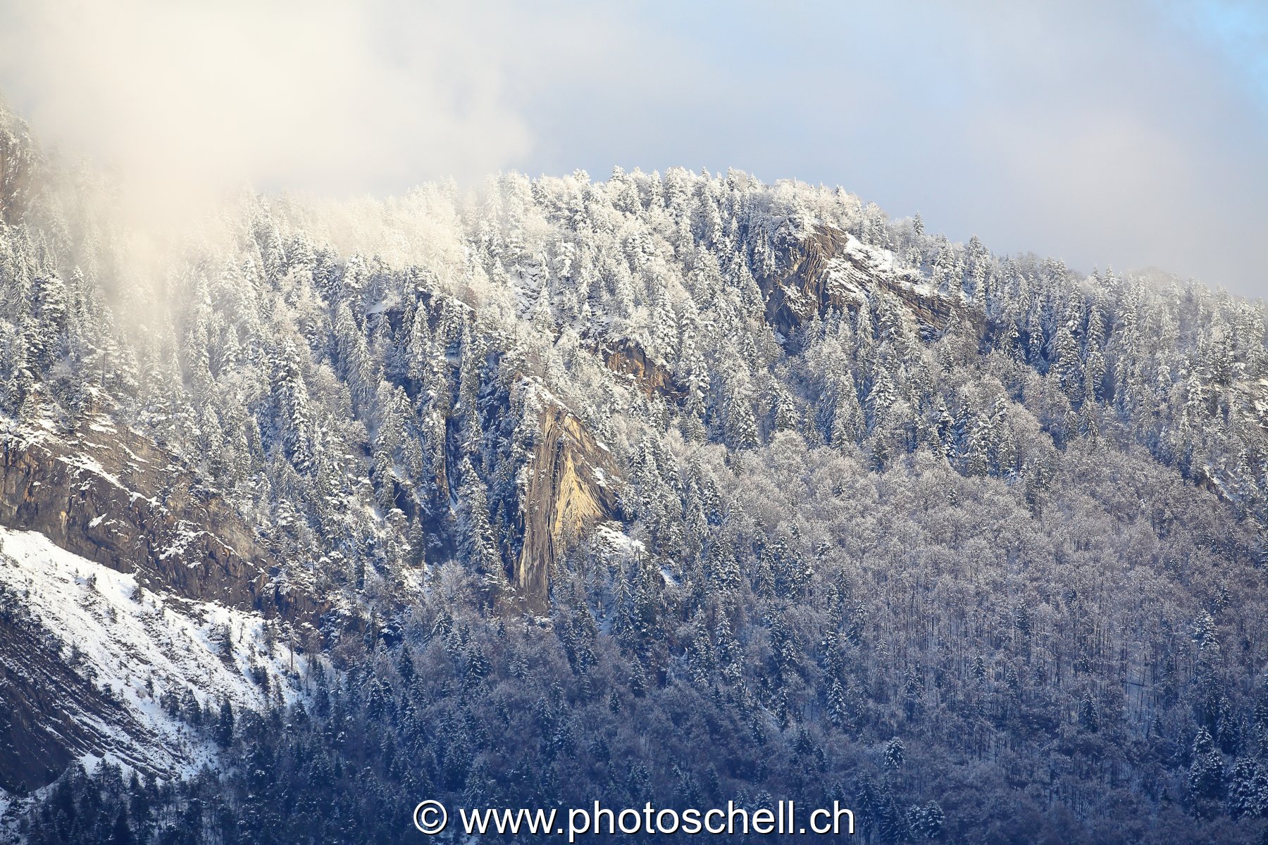 Limite pluie / neige