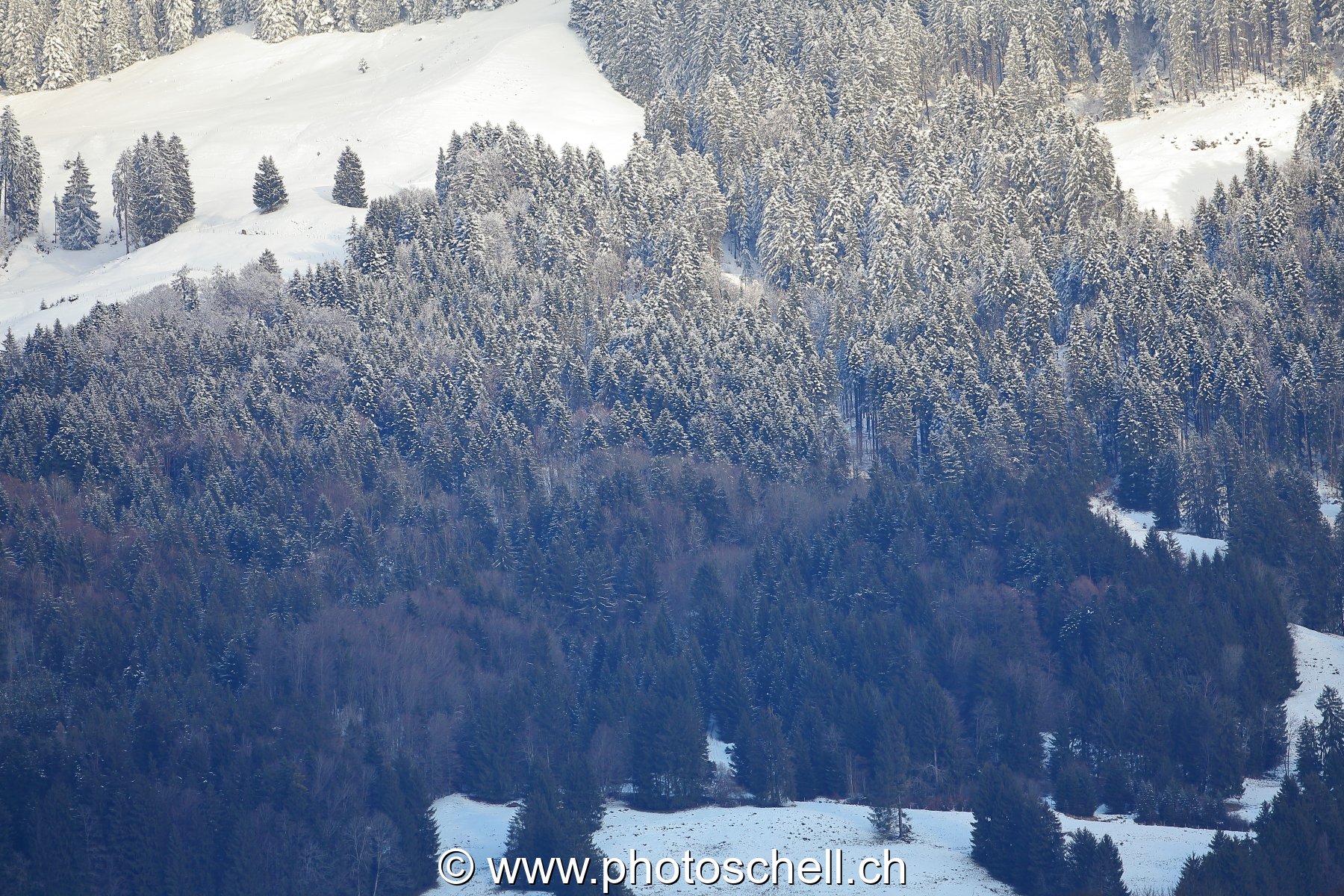 Limite pluie / neige