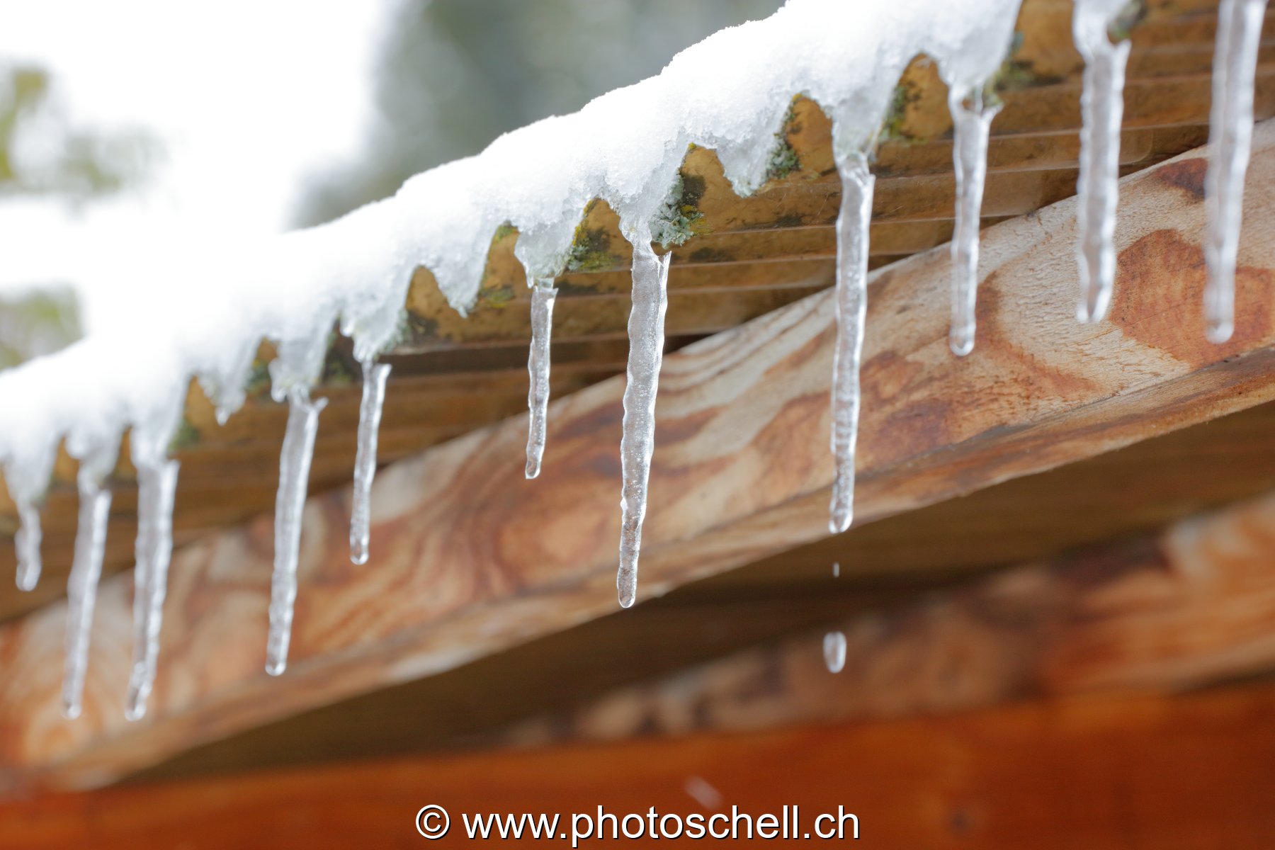 Stalagtites hivernales