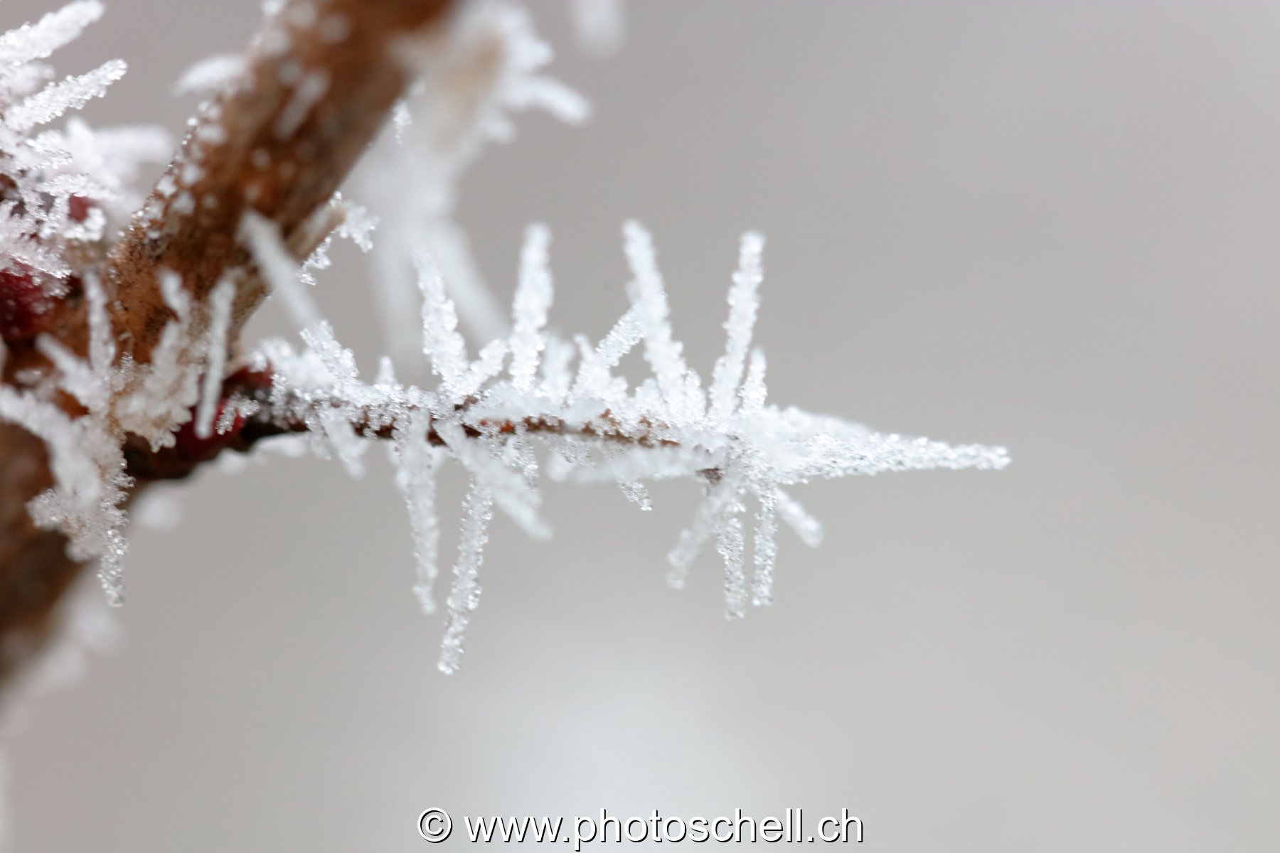 Givre