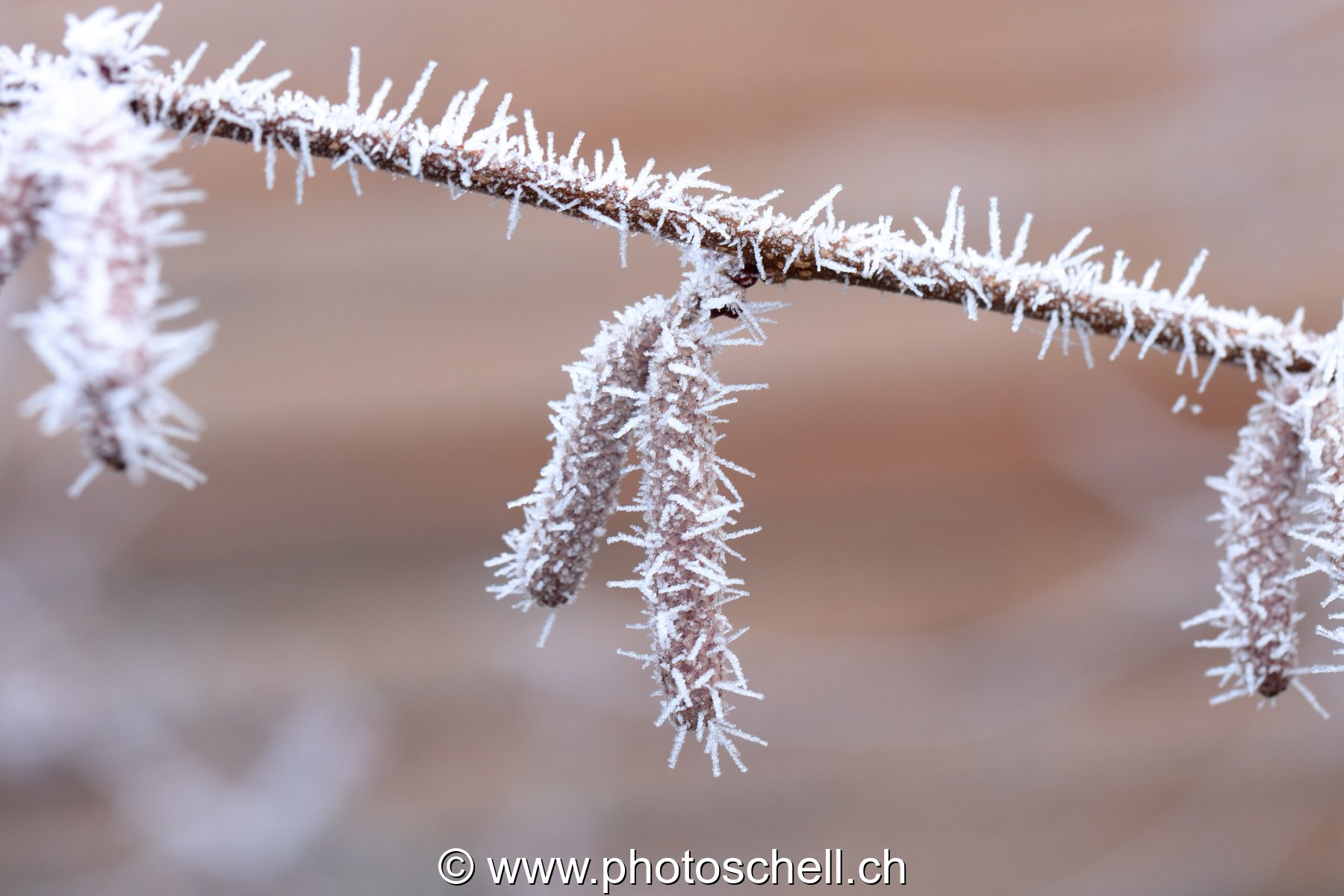 Givre