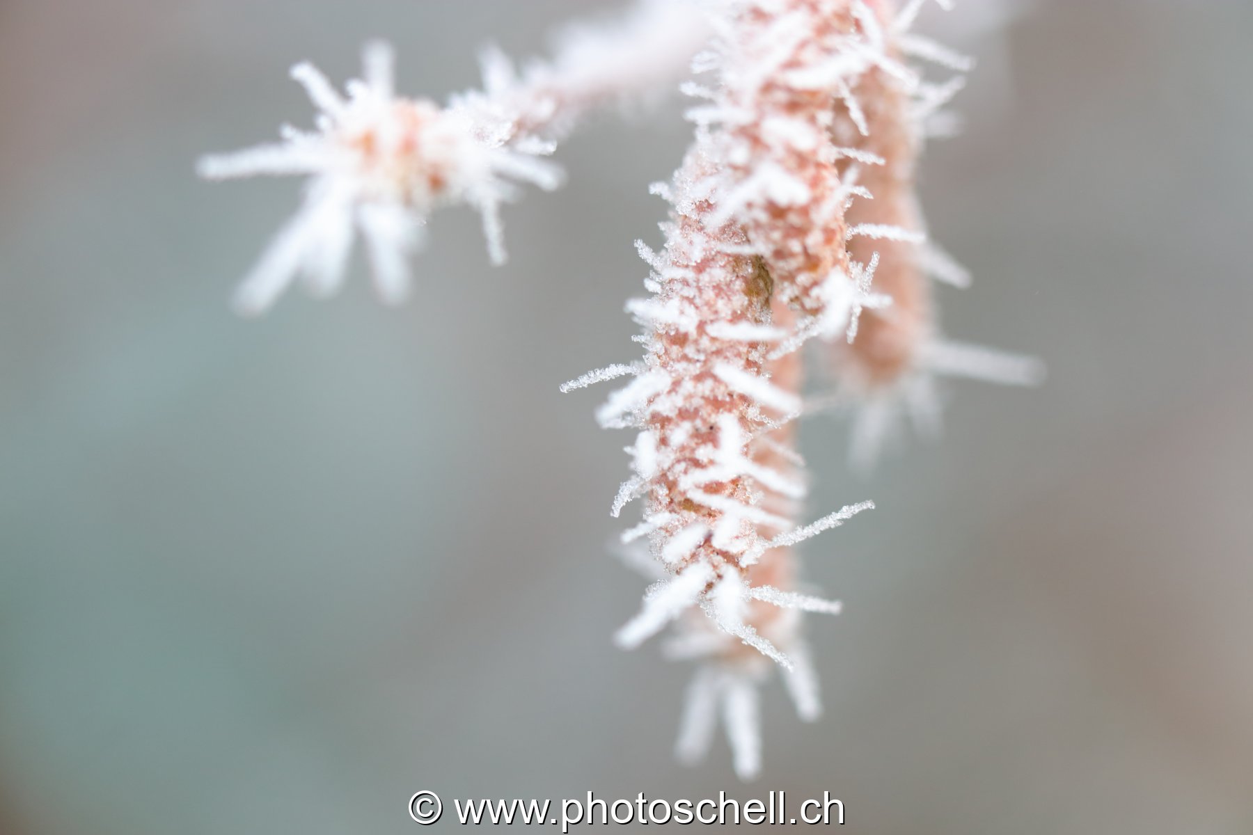 Givre