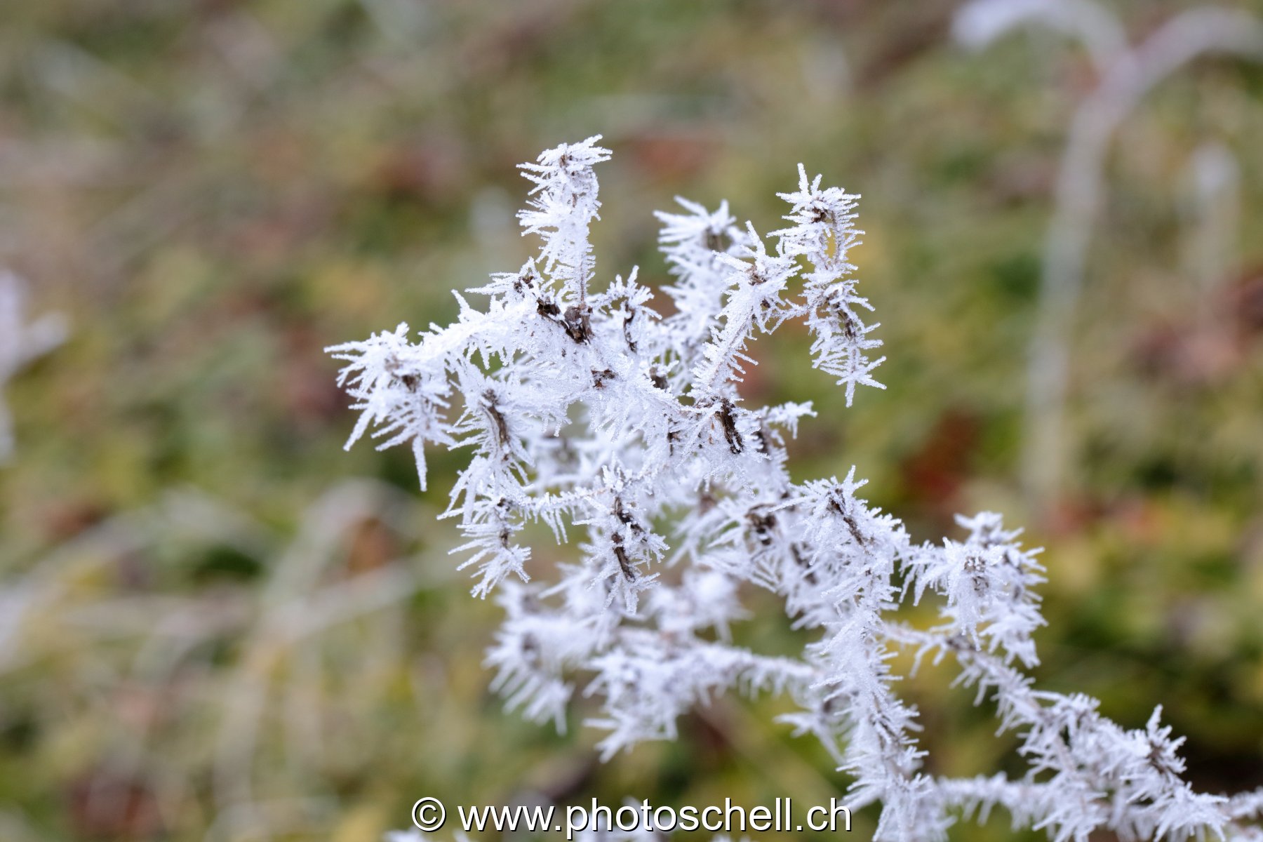 Givre