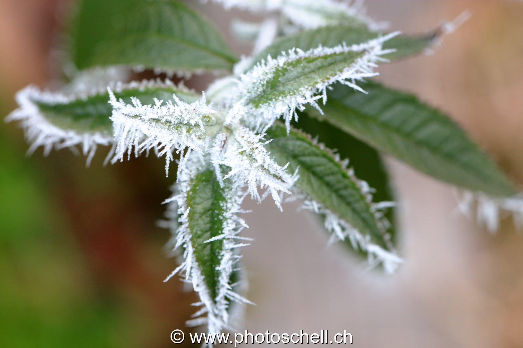 Givre
