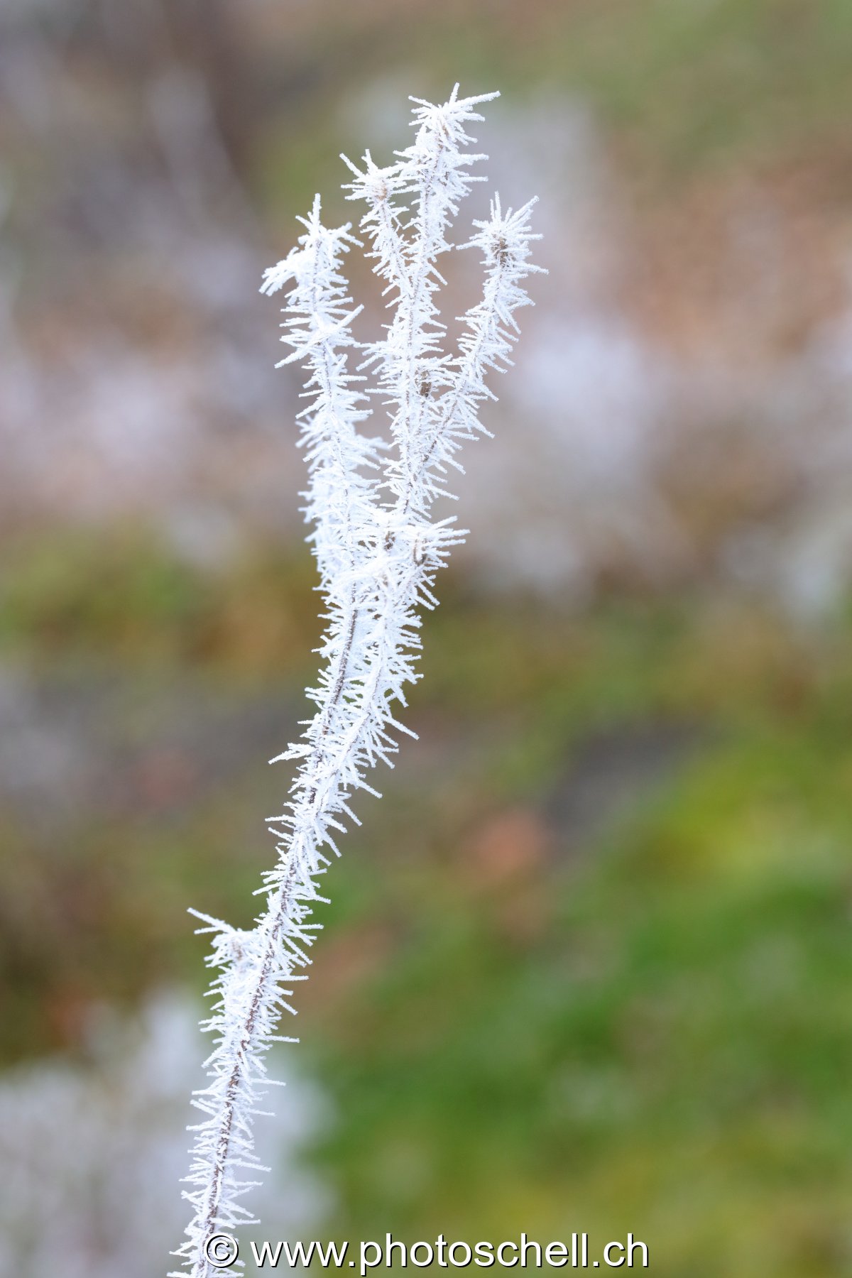 Givre