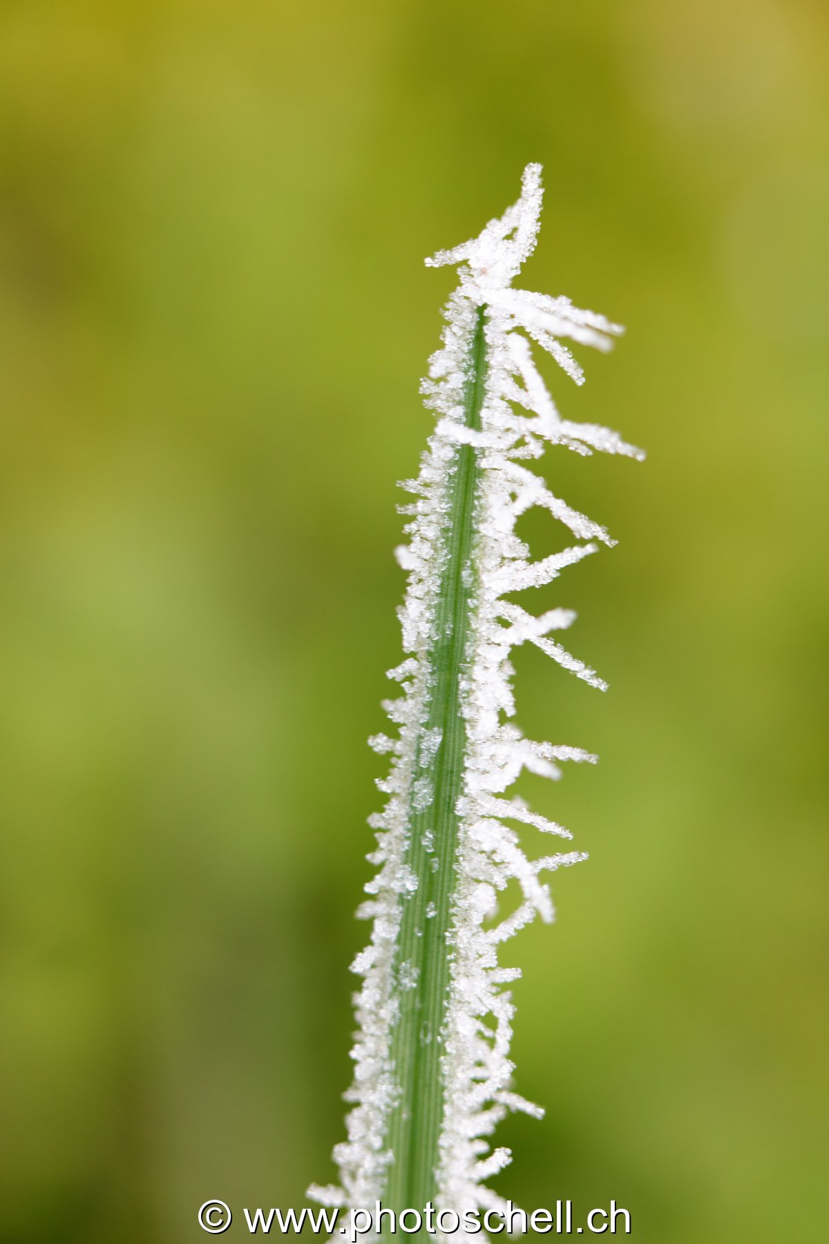Givre