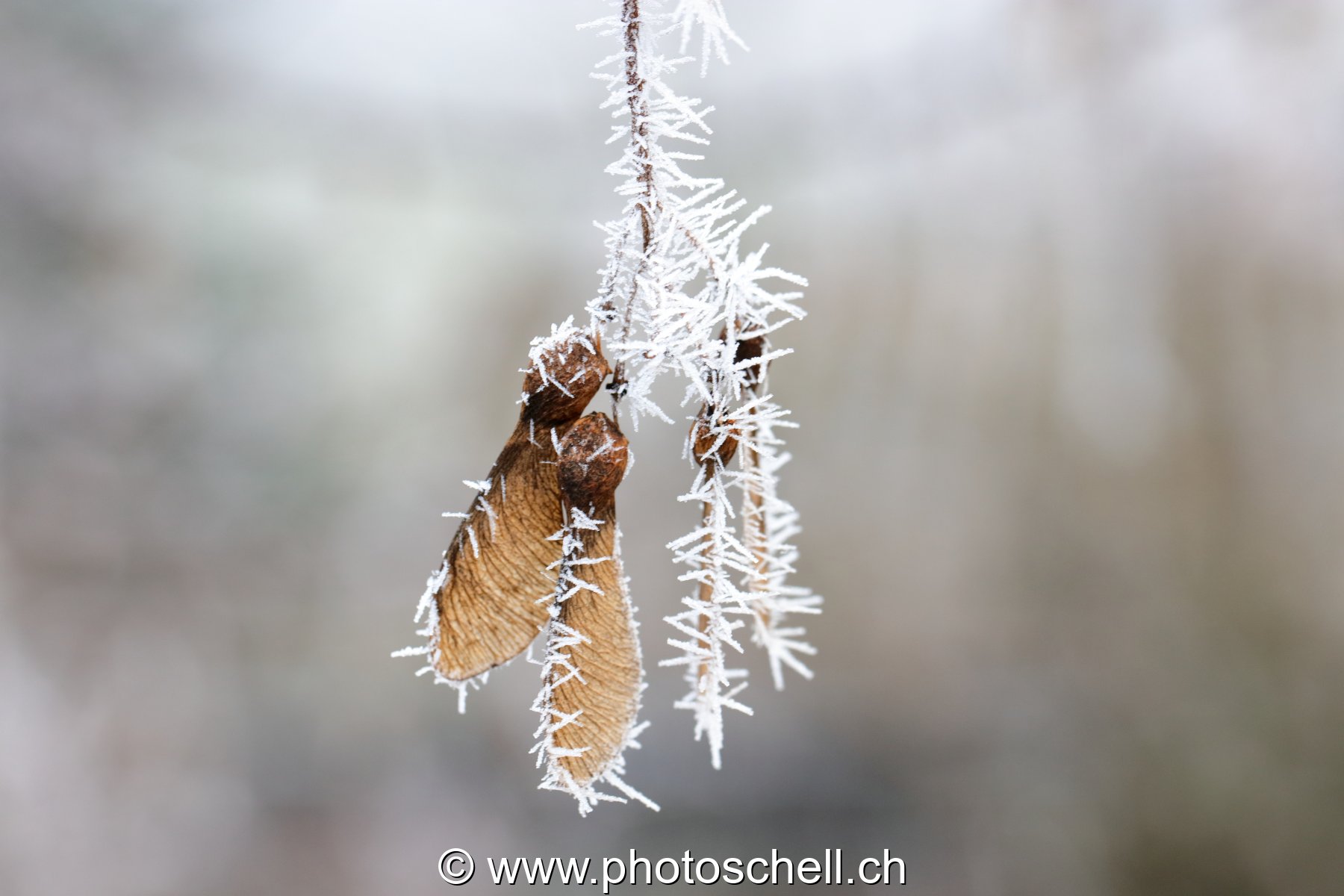 Givre