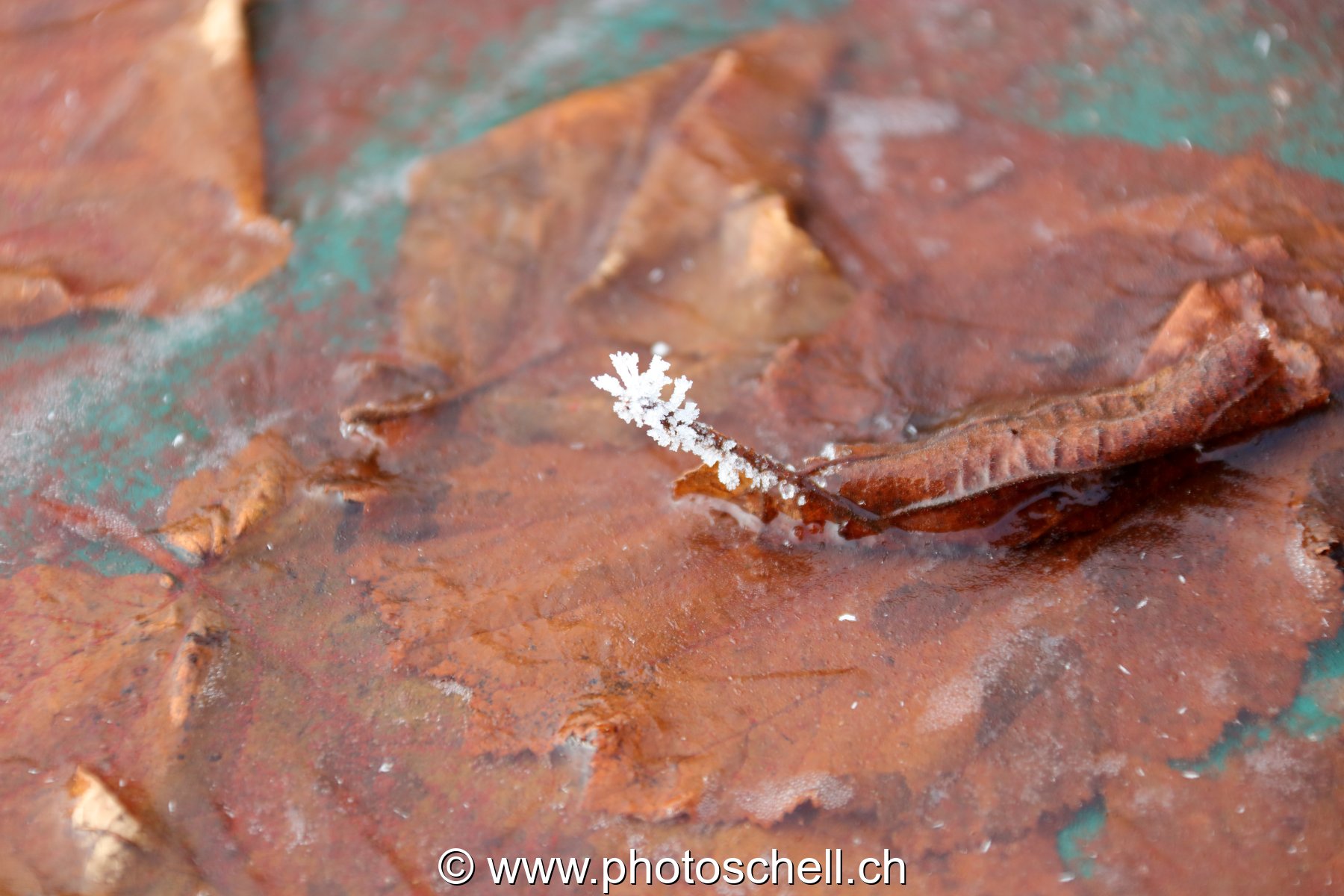 Cristal de glace
